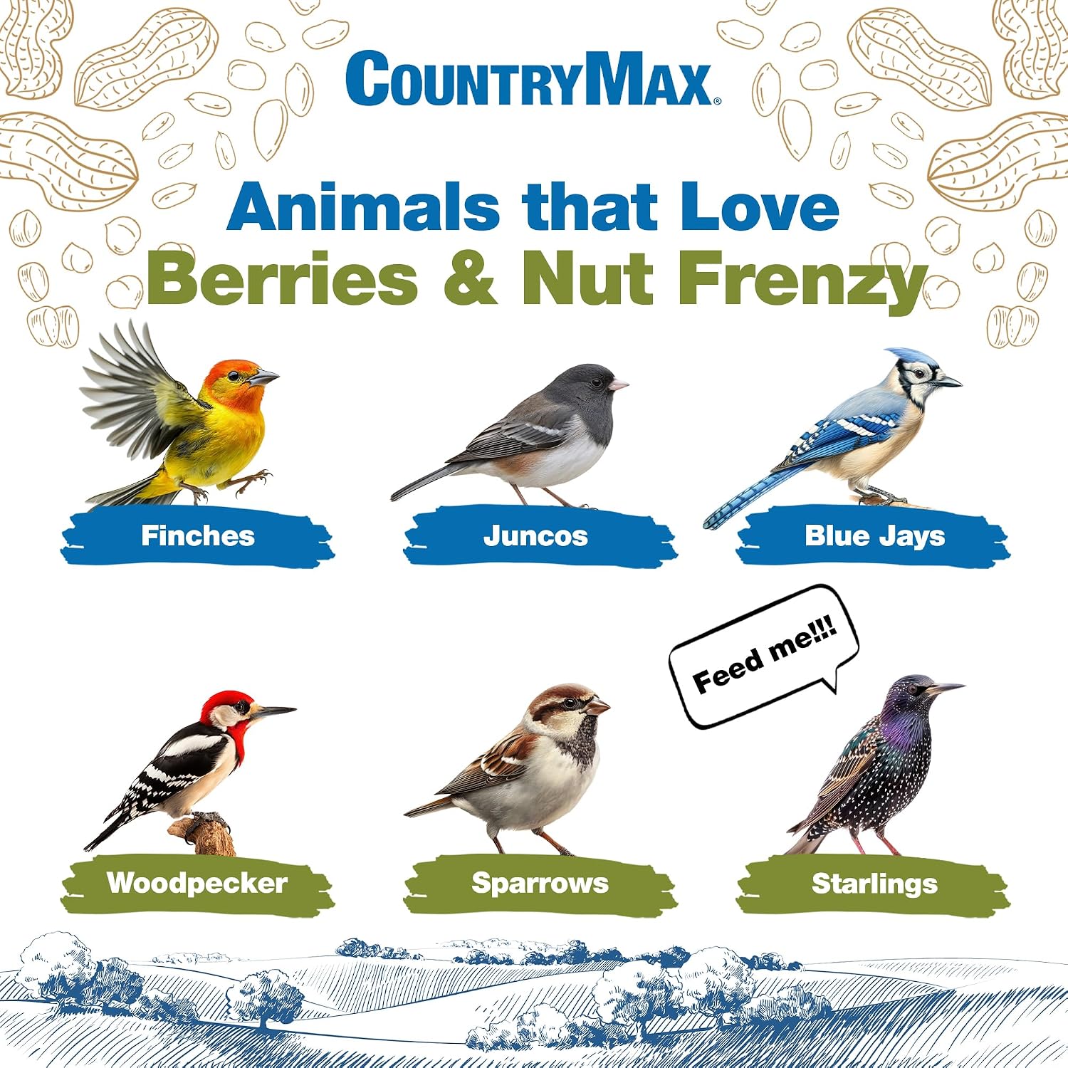 Backyard Seeds Woodpecker No-Waste Bird Seed Mix 5lbs - Premium Shelled Peanuts & Sunflower Chips, Small Bag of Wild Bird Food