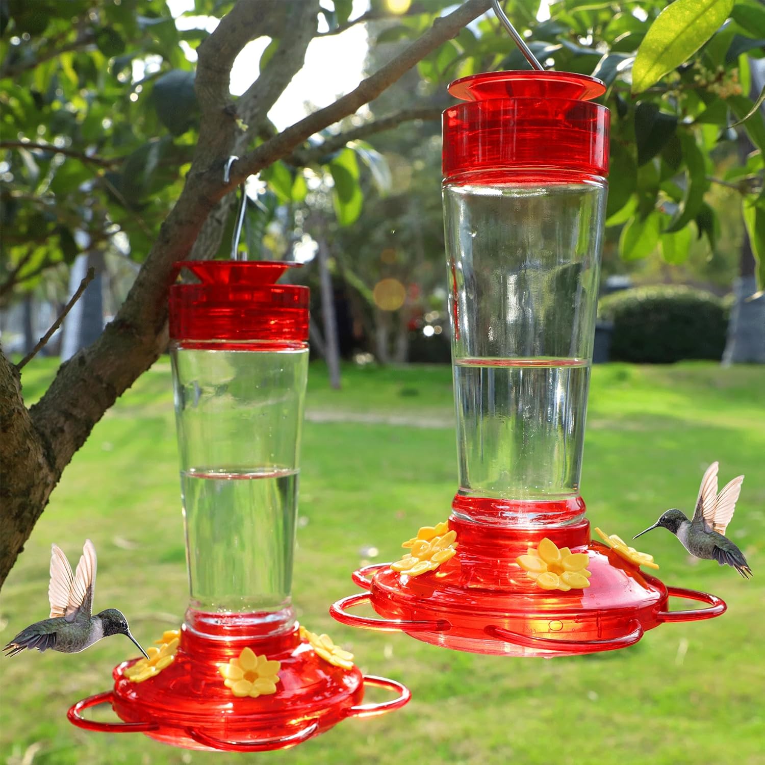 Shrdaepe Hummingbird Feeder, Glass Bottle Bird Feeders, 5 Feeding Ports, 10-Ounce Nectar Capacity