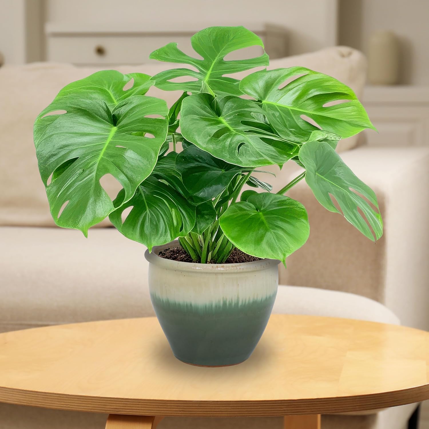 Sunnydaze Chalet 12" Ceramic Plant Pot, Imperial Blue Glaze, 2pk
