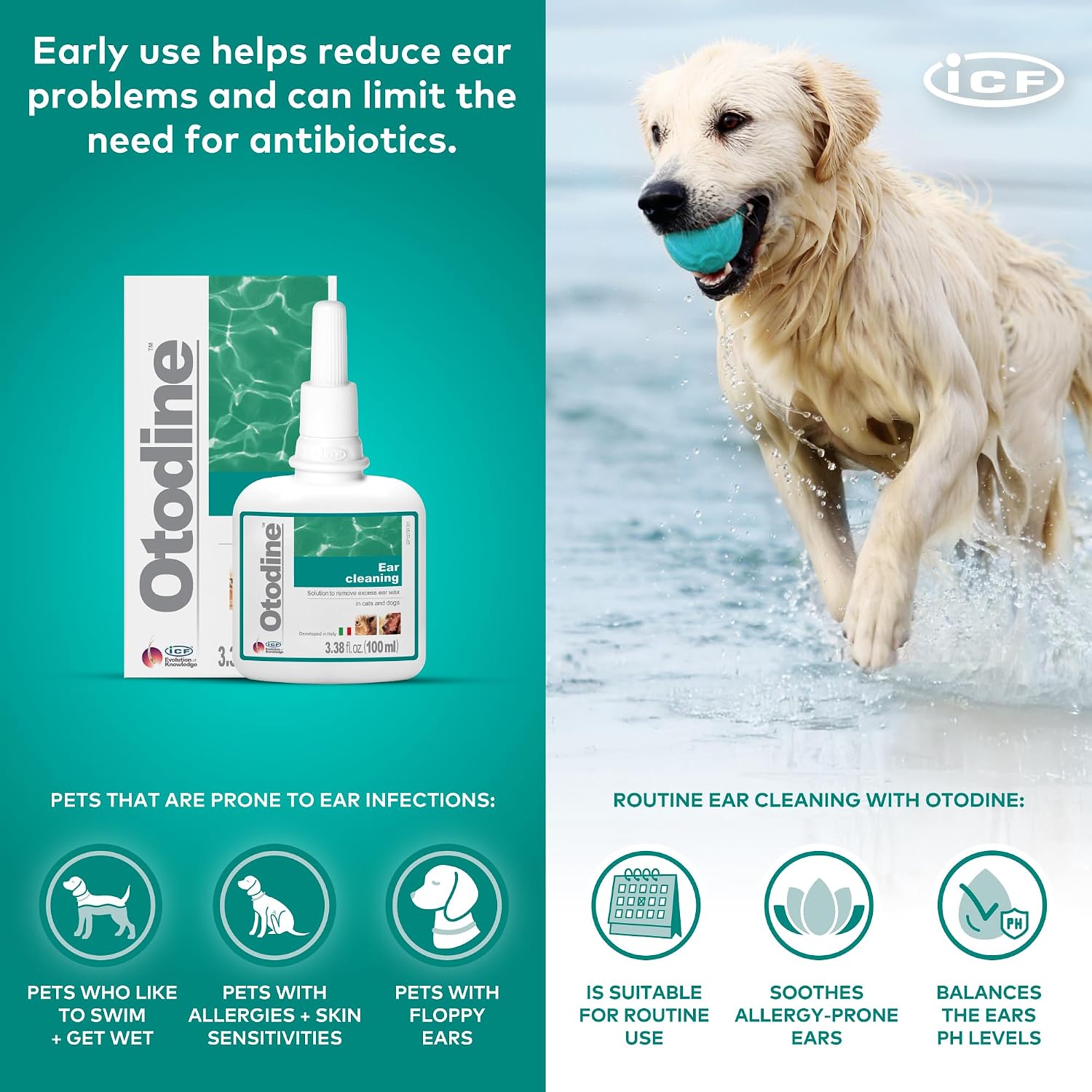 ICF Otodine Dog Ear Cleaner Solution Drops for Itchy Ears, Infections, Head Shaking, Scratching, Wax