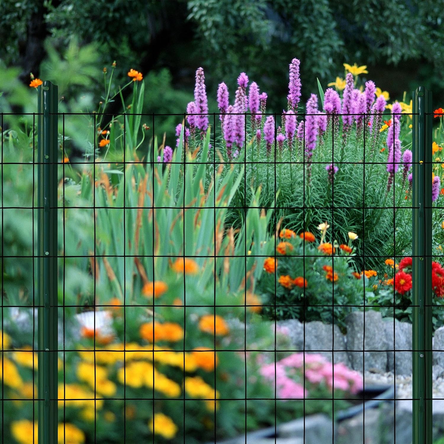 16GA Galvanized 48in x 50ft-3in x 2in Welded Wire Mesh Garden Economy Fence