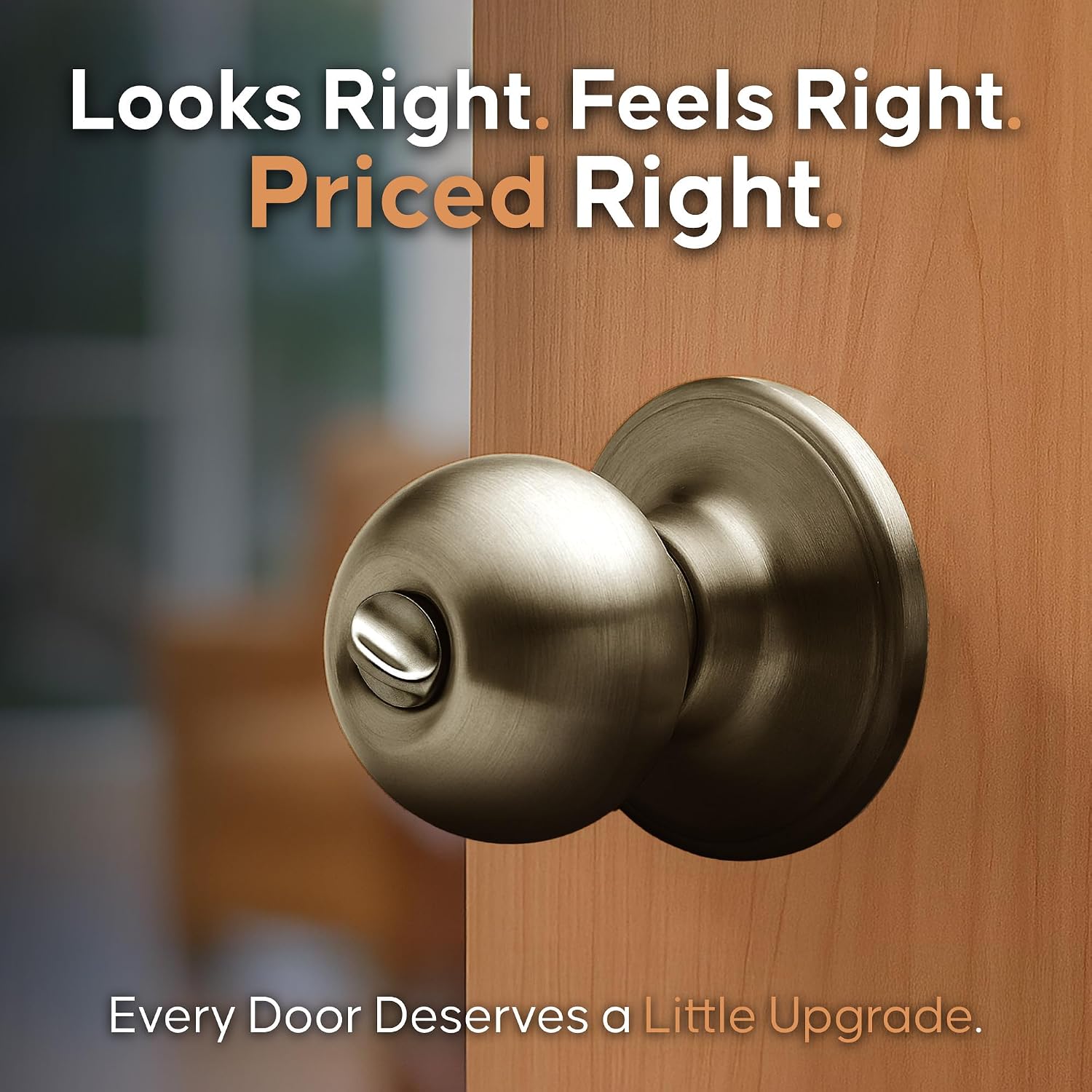 Copper Creek Privacy Interior Door Knob – ANSI Grade-3 Certified, Modern Heavy Duty Handle, Easy Install and Reversible for Bedroom, Bathroom & Closets – Satin Stainless (1 Pack)