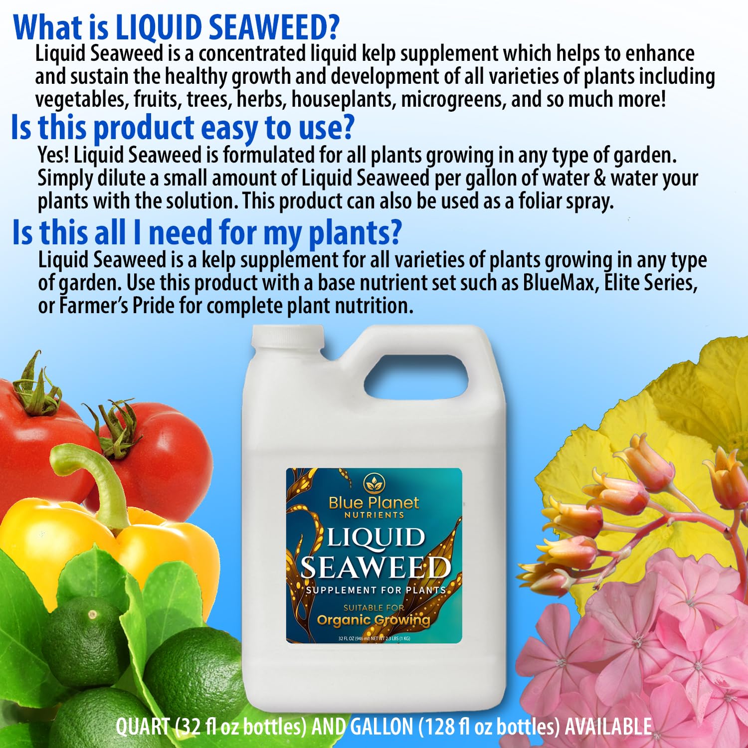 Liquid Kelp Seaweed Fertilizer Concentrate - Blue Planet Nutrients Ascophyllum Nodosum Liquid Seaweed Supplement - Makes 470 Gallons - Quart (32 oz)