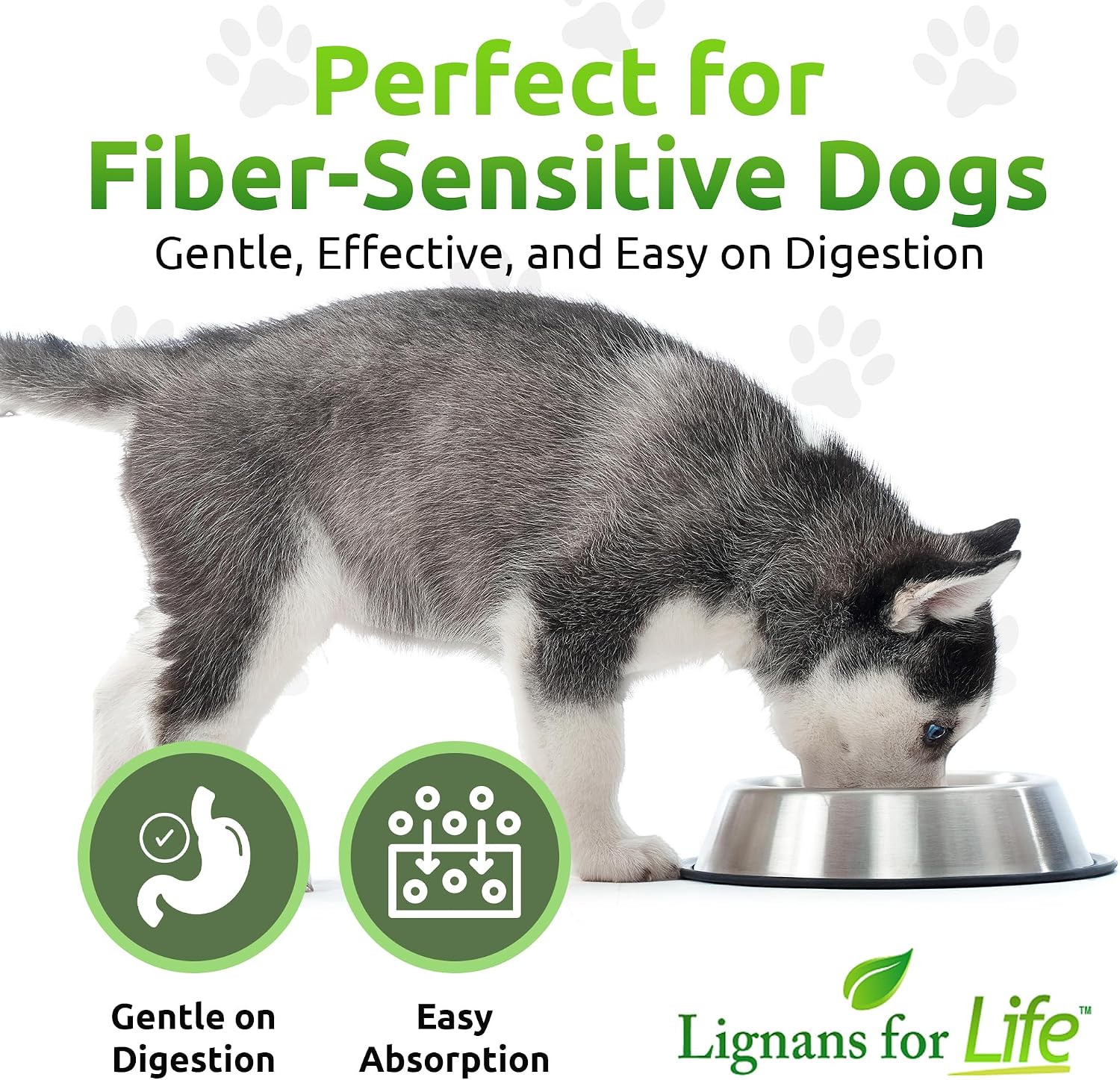 Lignans For Life HMR LIGNANS 10mg Capsules - Perfect for Small Dog Breeds - Vitamin for Healthy Pet | Multivitamin | Wellness Supplement | Nutritional