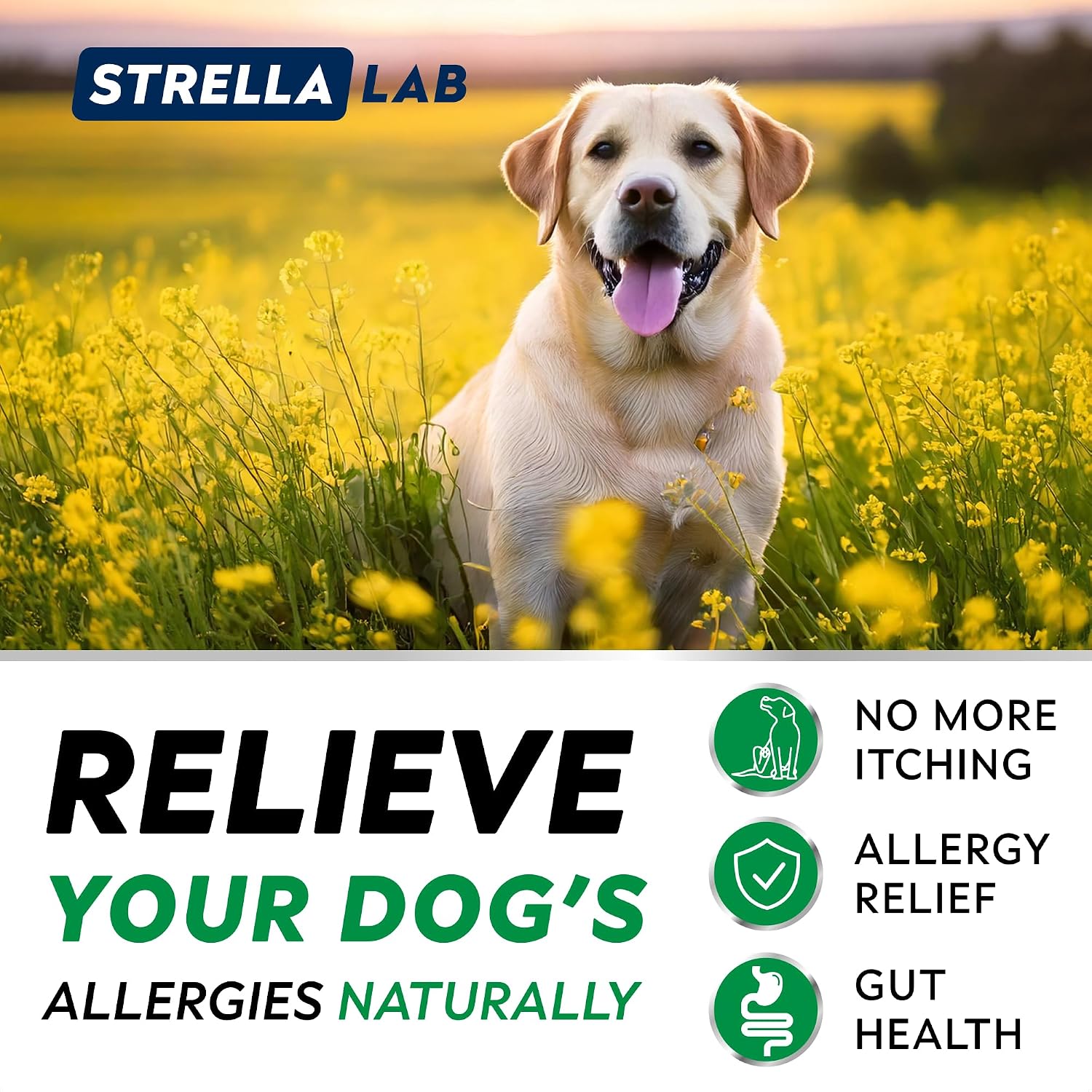 Dog Allergy & Itching Relief - Anti Itch, Skin&Coat Support Chews w/Omega 3