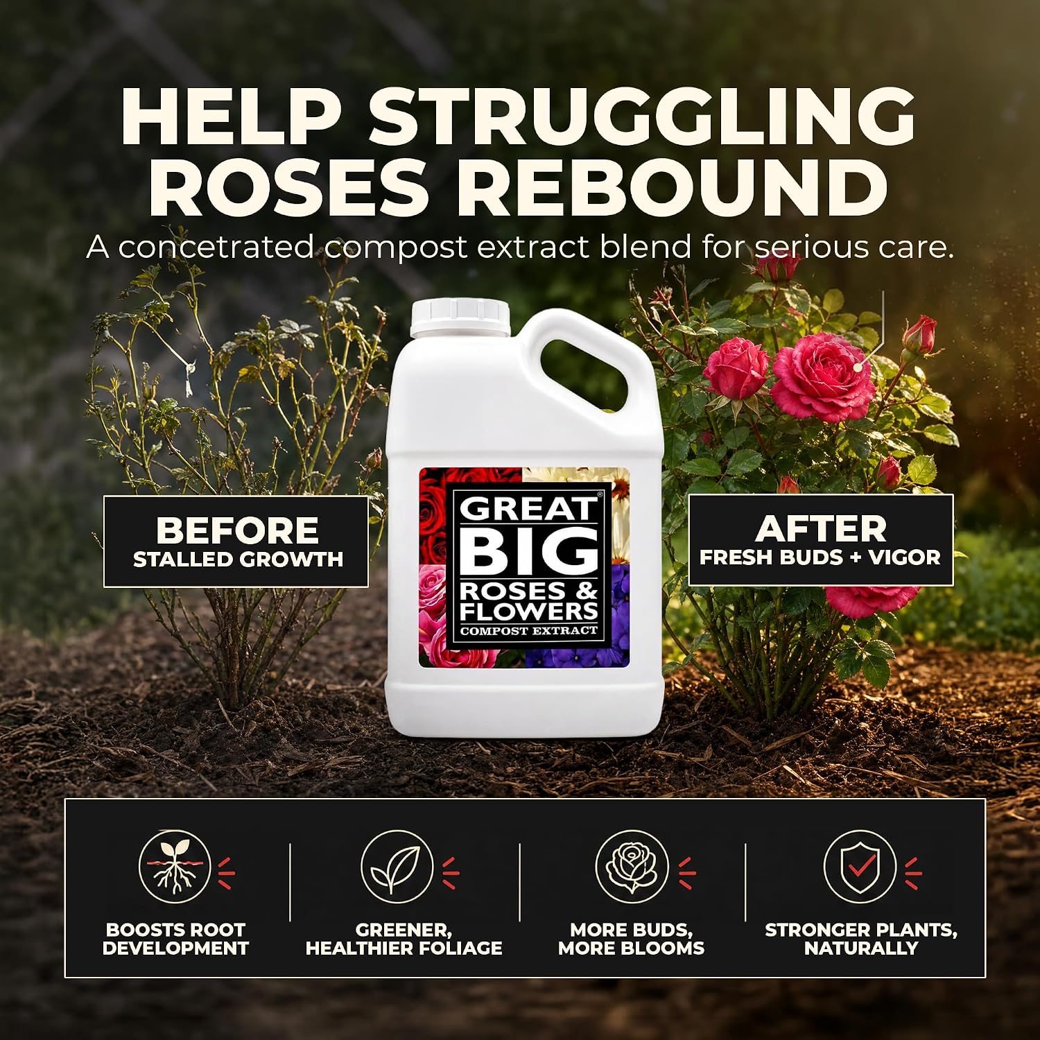 Great Big Roses Fertilizer Booster for Rose & Flower Gardens, 32 Ounce | Organic; For Roses, Flowers, Hydrangeas & Flowering Shrubs; Mix 4 oz per gal water; More Blossoms & Better Root Uptake