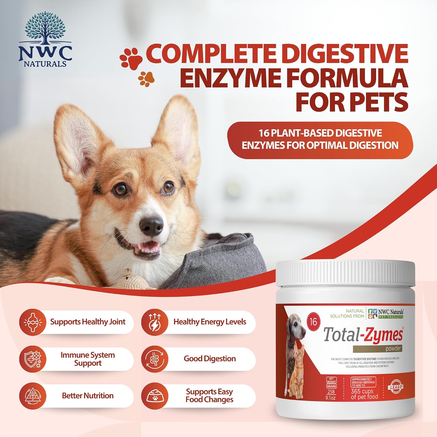 Total-Zymes Digestive Enzymes for Dogs and Cats, 8 oz. Powder | Unflavored Daily Powder, Mix 1 Scoop per Cup of Food, 16 Plant-Based Enzymes and Prebiotic Support Digestion and Absorption