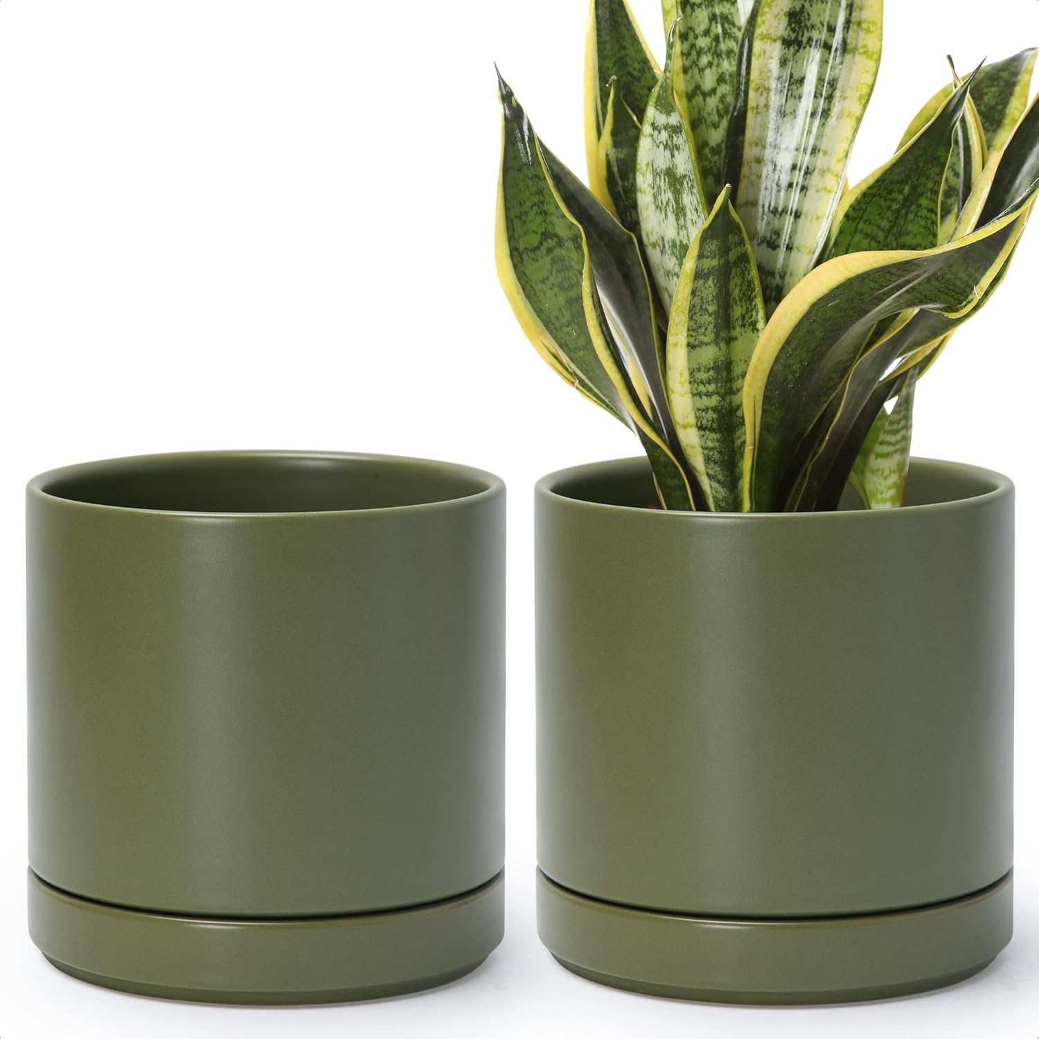 D'vine Dev 2-Pack Ceramic Pots with Saucers, White/Grey, 4.7 in, 94-V-B-6
