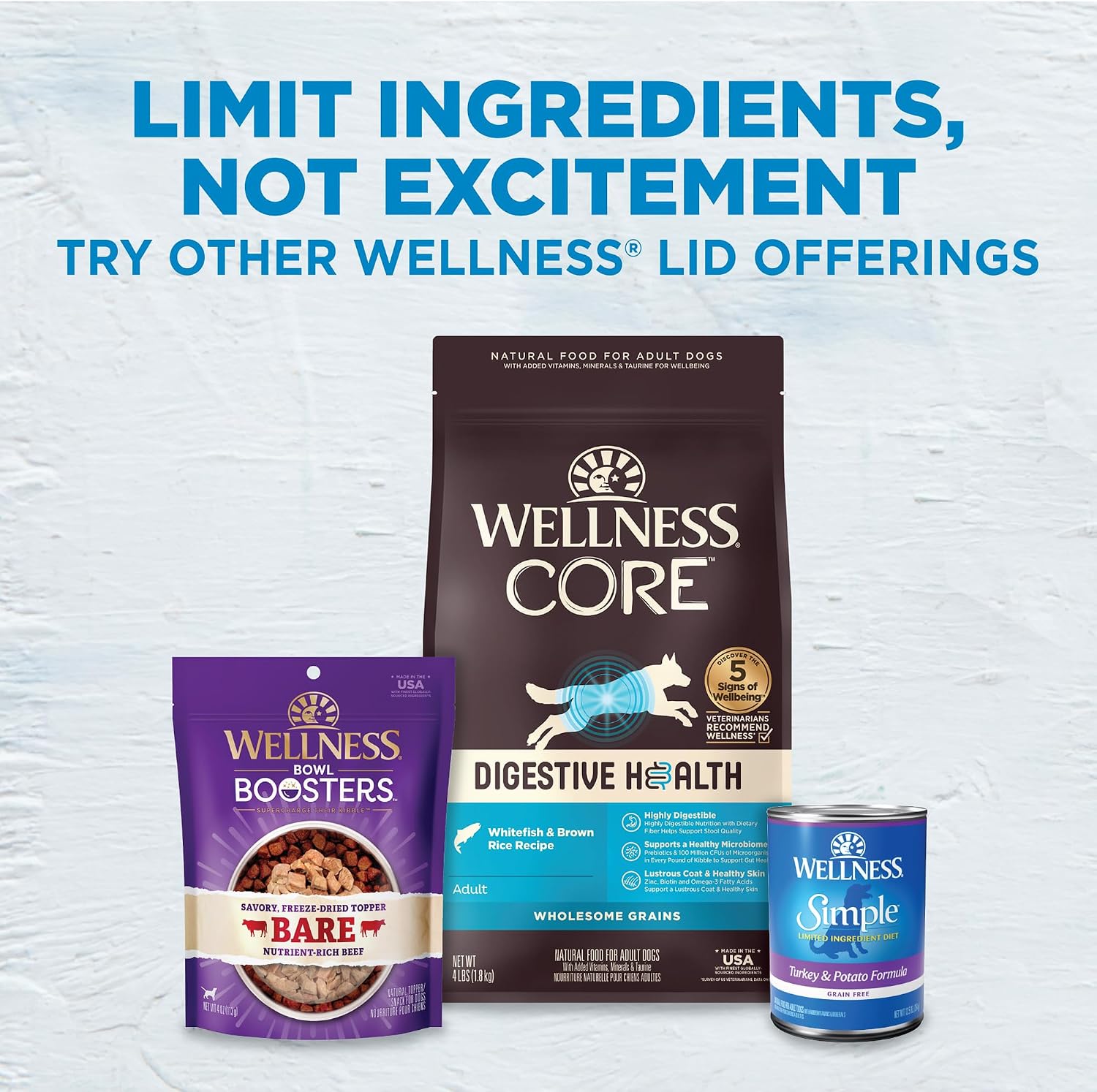 Wellness Simple Limited Ingredient Small Breed Adult Dry Dog Food, Grain Free Kibble, Sensitive Stomach, Skin & Coat Support, Natural, Chicken Free, Salmon and Potato Recipe, 10.5 lb Bag