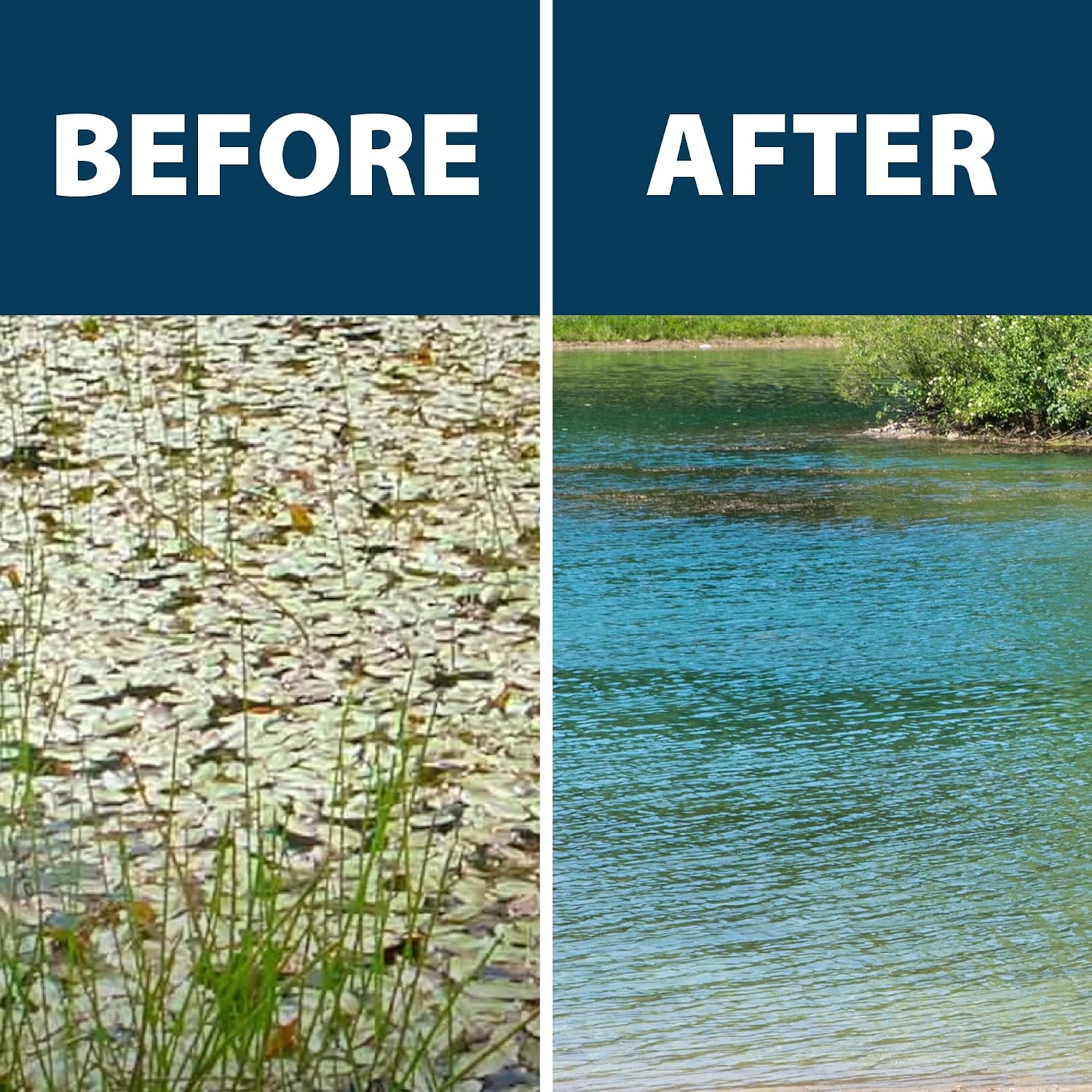 Airmax Ultra Pondweed Defense Aquatic Weed & Plant Killer