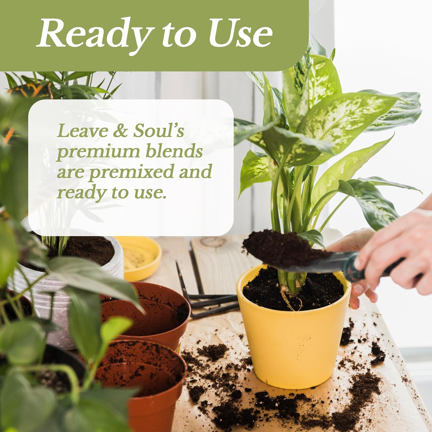Professional Bonsai Soil Mix Ready to Use | Large 2.2 Quarts, Premium Potting Soil for Bonsai Trees