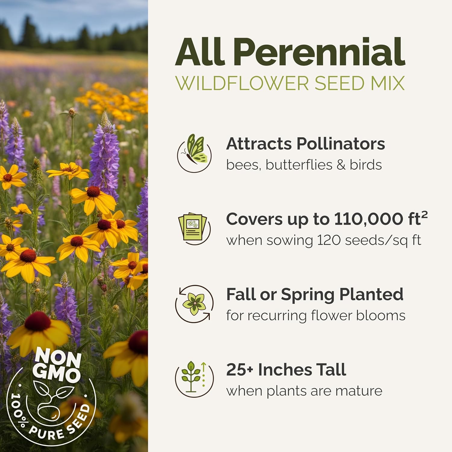 Eden Brothers All Perennial Wildflower Mixed Seeds for Planting, 1 lb, 480,000+ Seeds with Lupine, Shasta Daisy | Attracts Pollinators, Plant in Spring or Fall, Zones 3, 4, 5, 6, 7, 8, 9, 10