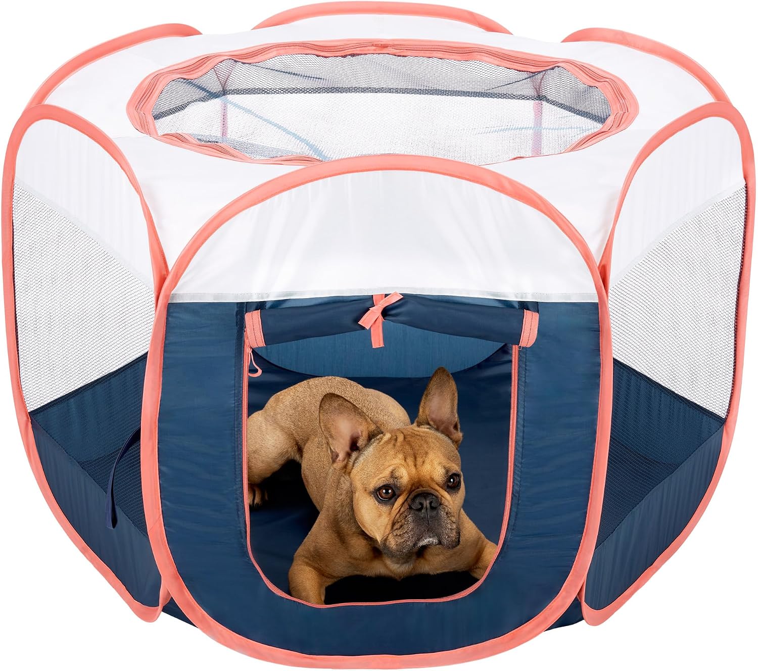 Furhaven Portable Dog Playpen Cat Tent, Pet playground,Kennel foldable indoor outdoor zippered puppy crate - Hunter Green, Medium