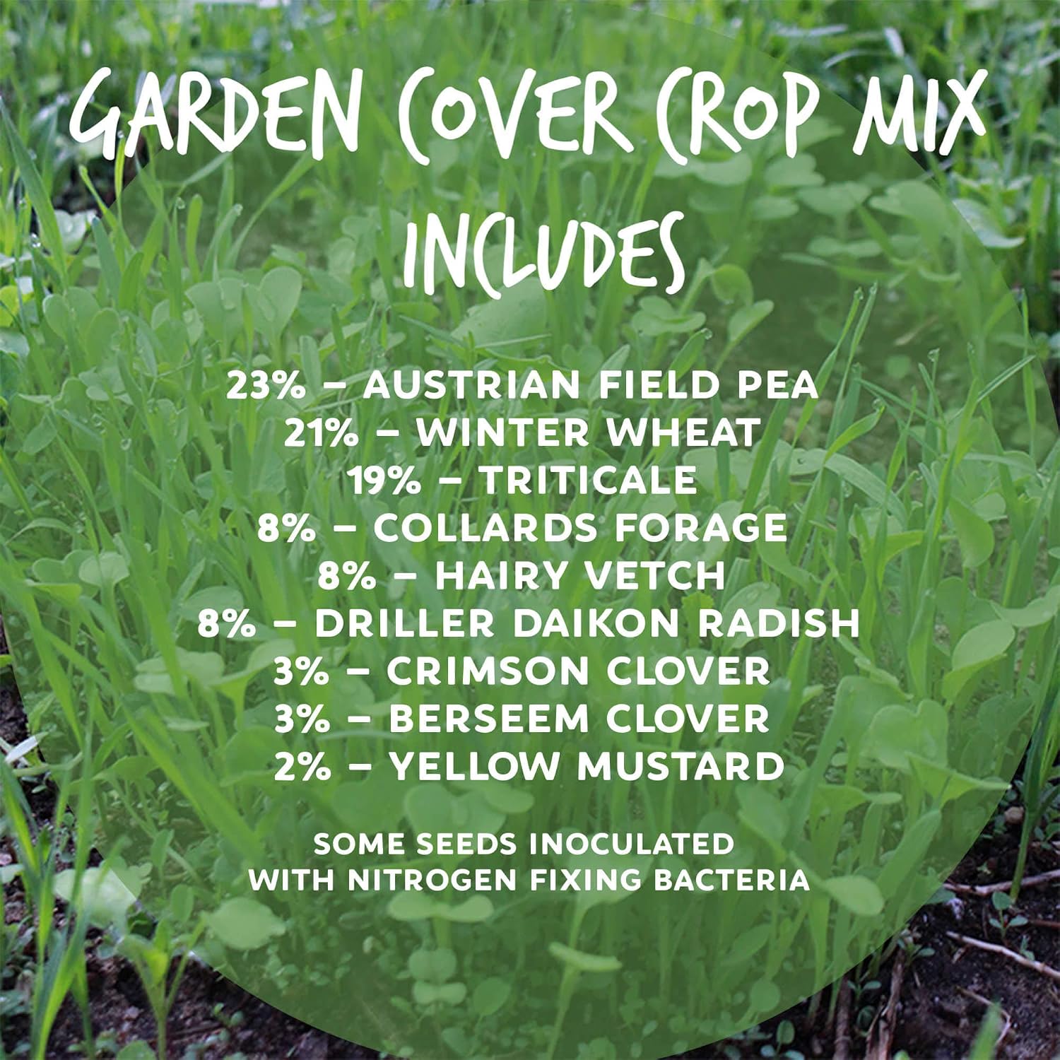 Mountain Valley Seed Co No-Till Garden Farm and Garden Cover Crop Mix Seeds | 5 Lbs - Blend of Gardening Cover Crop Seeds: Hairy Vetch, Daikon Radish, Forage Collards, Triticale, More