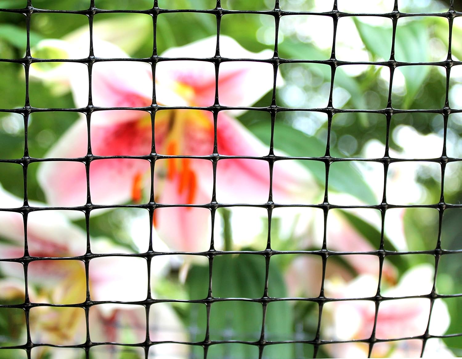 Tenax Multi-Purpose Net - Black Plastic Netting, Versatile Garden Fence - 3' x 50' - Polypropylene