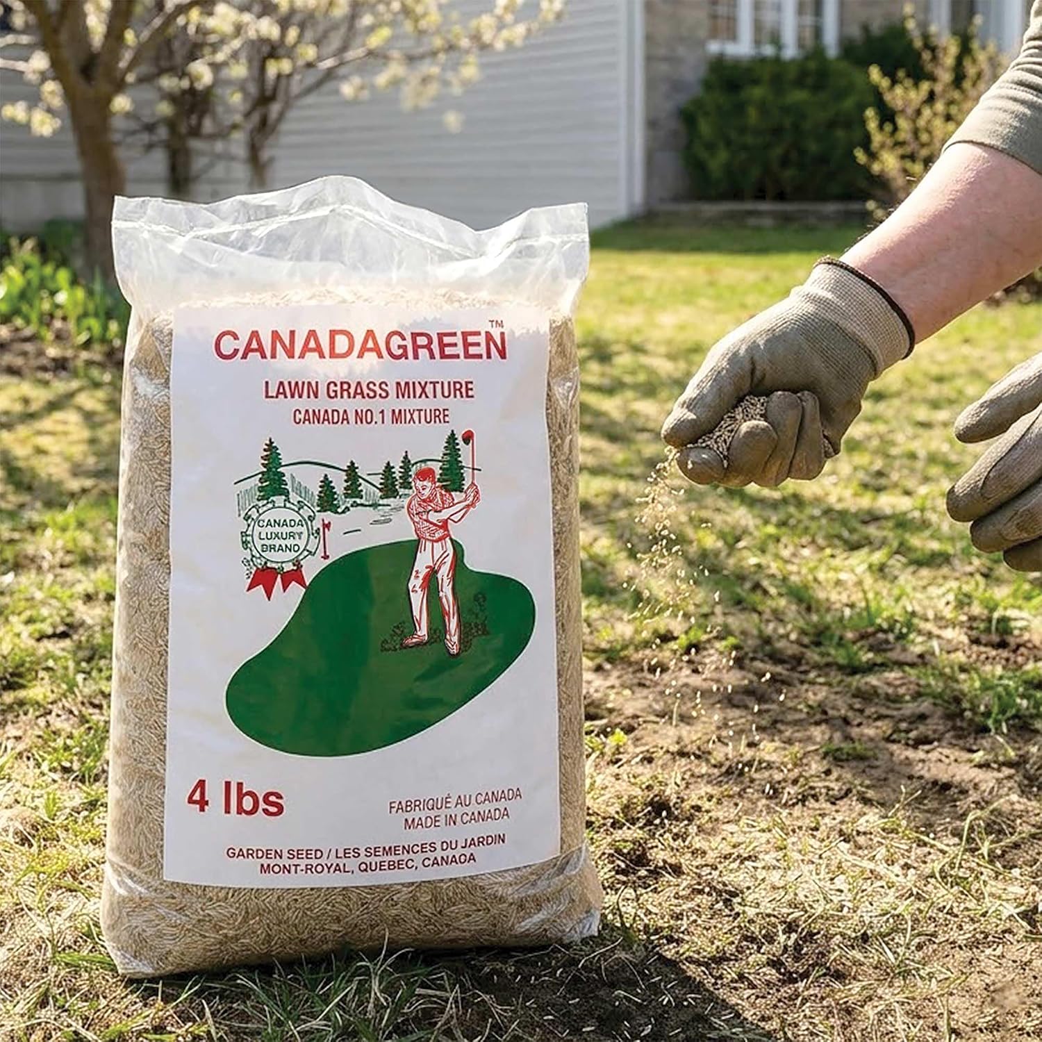 Canada Green Grass Lawn Seed - 4 Pound Bag Grows Healthy Rich Green Fast Growing Grass Lawn Seed Plants Yard Garden
