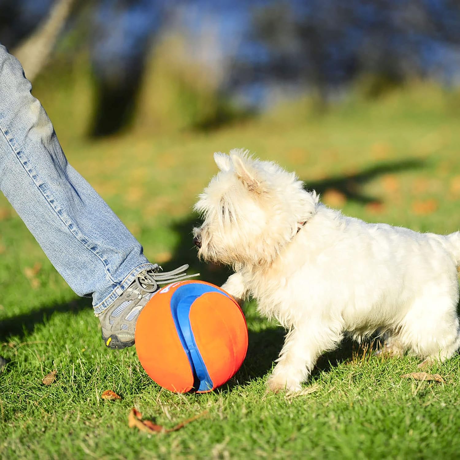 Chuckit! Kick Fetch Ball Dog Toy, Floats in Water, Large 8 Inch Diameter | Durable rubber and foam build, interactive play design, great for pool or lake sessions, built for big breed dogs each day