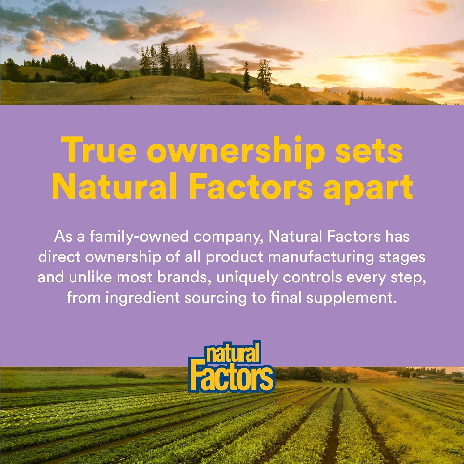 Natural Factors No Flush Niacin 500 mg, 90 Tablets