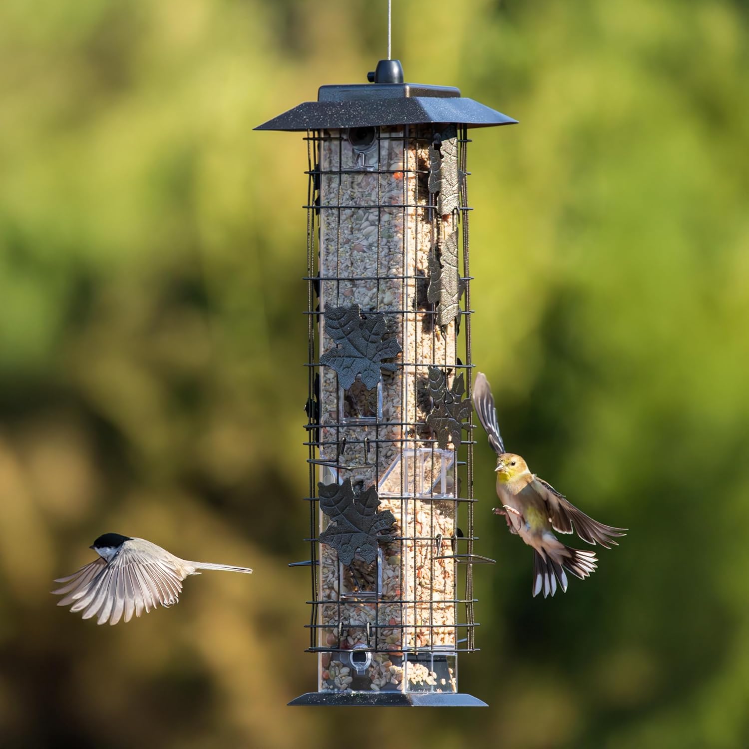Perky-Pet Squirrel-Be-Gone Bird Feeder, 2 lb Seed Capacity | Weight-Activated Squirrel Proof Bird Feeder