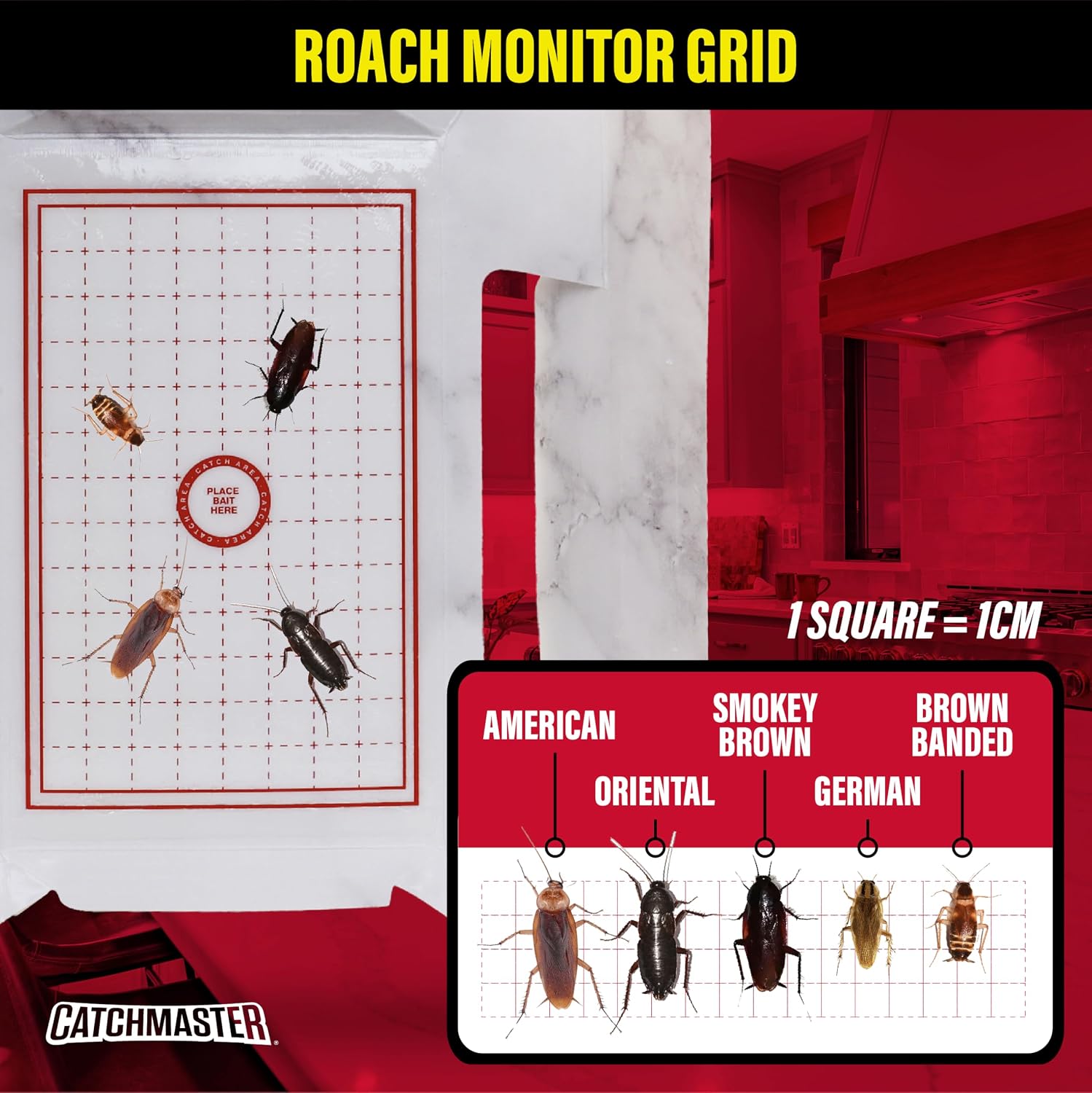 Catchmaster Max-Catch Mouse & Insect Glue Trap 72pk, Mouse Traps Indoor for Home