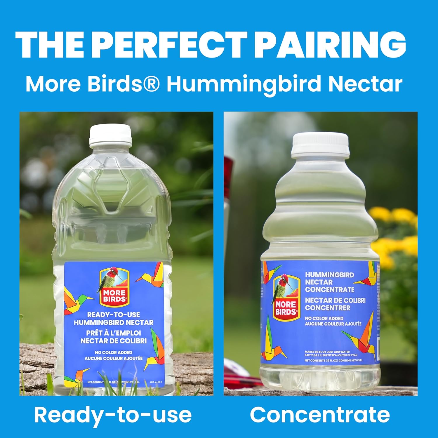 More Birds Bird Health+ Big Gulp Hummingbird Feeder, Glass Hummingbird Feeders for Outdoors, 5 Feeding Stations, 40 Ounces | Built-in Ant Moat