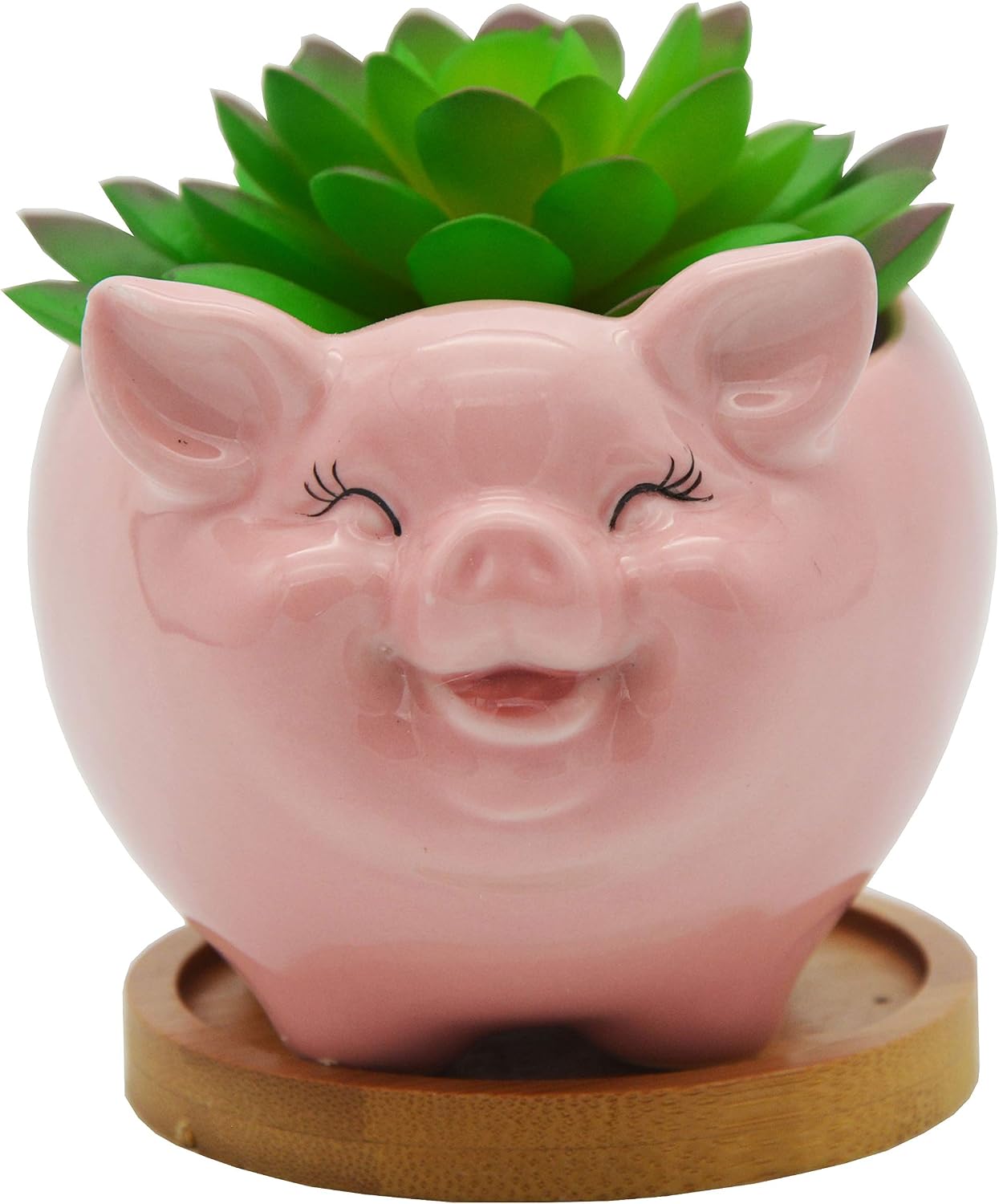 Cuteforyou Succulent Pots,Cute Animal Shaped Cartoon Ceramic Succulent Cactus Flower Planters -Plant Not Included，Cat