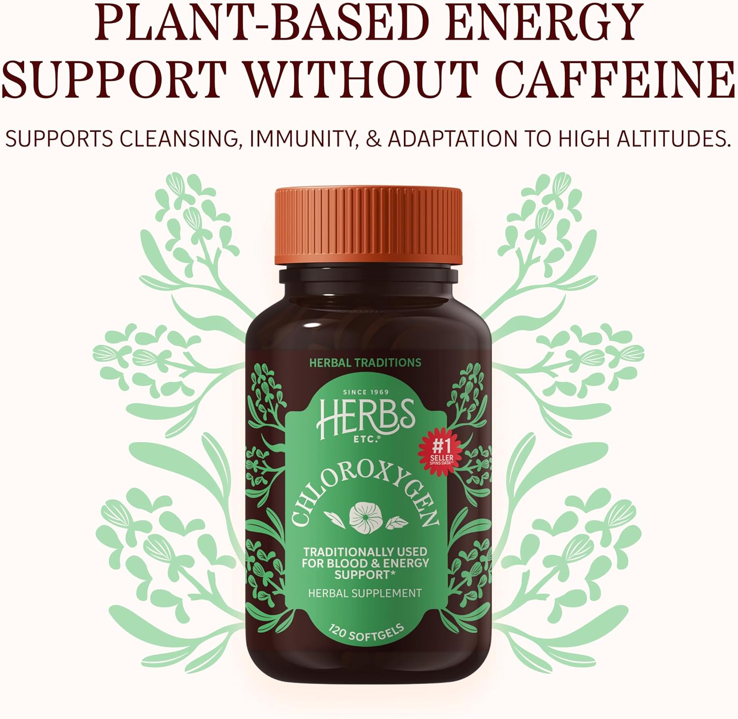 Herbs Etc. ChlorOxygen Chlorophyll Concentrate Softgels - High-Potency Chlorophyll for Detoxification Support - Deodorizing - Skin, Gut & Energy Support - 60 Count (60 Servings)