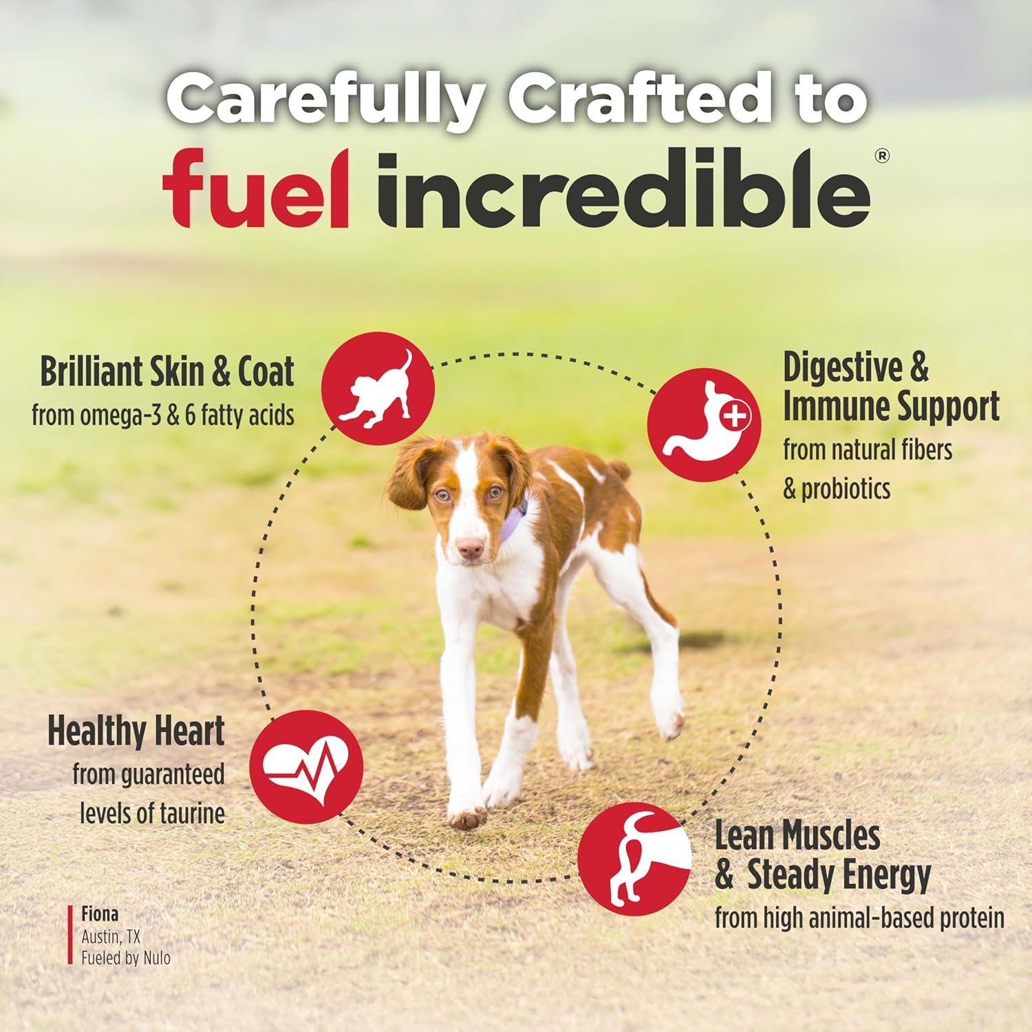 Nulo Freestyle Dry Puppy Food - Salmon & Peas, Premium Grain Free Dog Food for Puppies, Natural, High Protein Kibble with DHA, Omega 3 & Probiotics