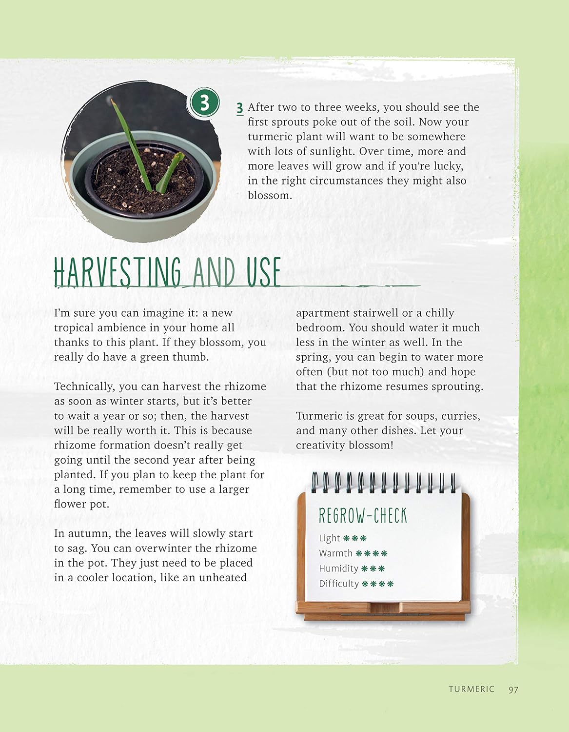 Regrow Your Veggies: Growing Vegetables from Roots, Cuttings, and Scraps (CompanionHouse Books) Sustainable Tips, Troubleshooting