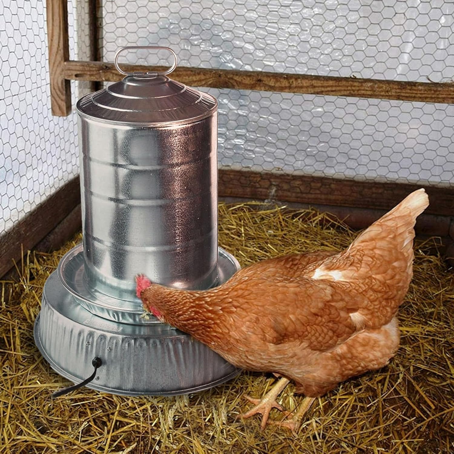 Farm Innovators Heated Poultry Waterer Base, 125 Watts, Metallic, 3-Pack