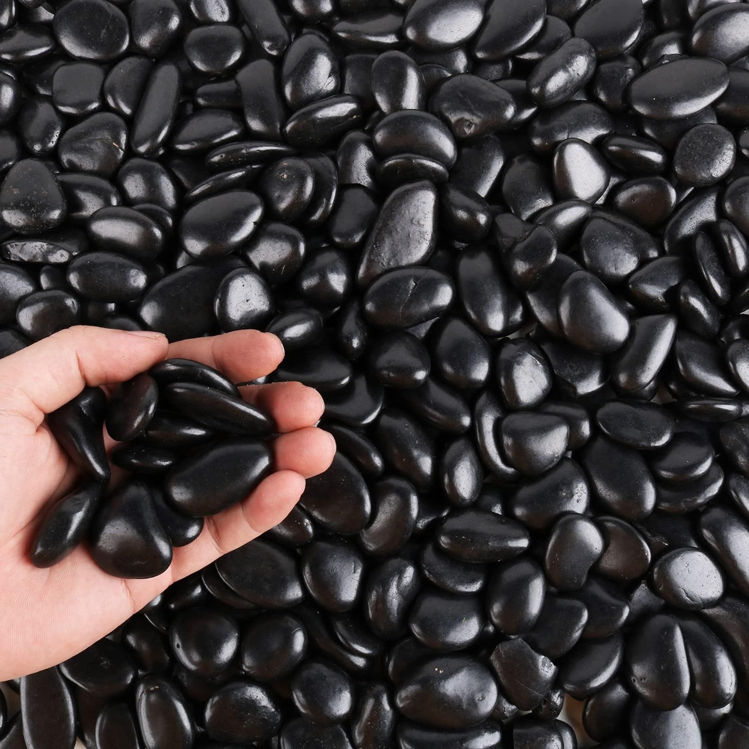 Pebbles for Plants 3 lb Natural Garden Decorative Stone Outdoor Aquariums Gravel 1-1.5 Inches