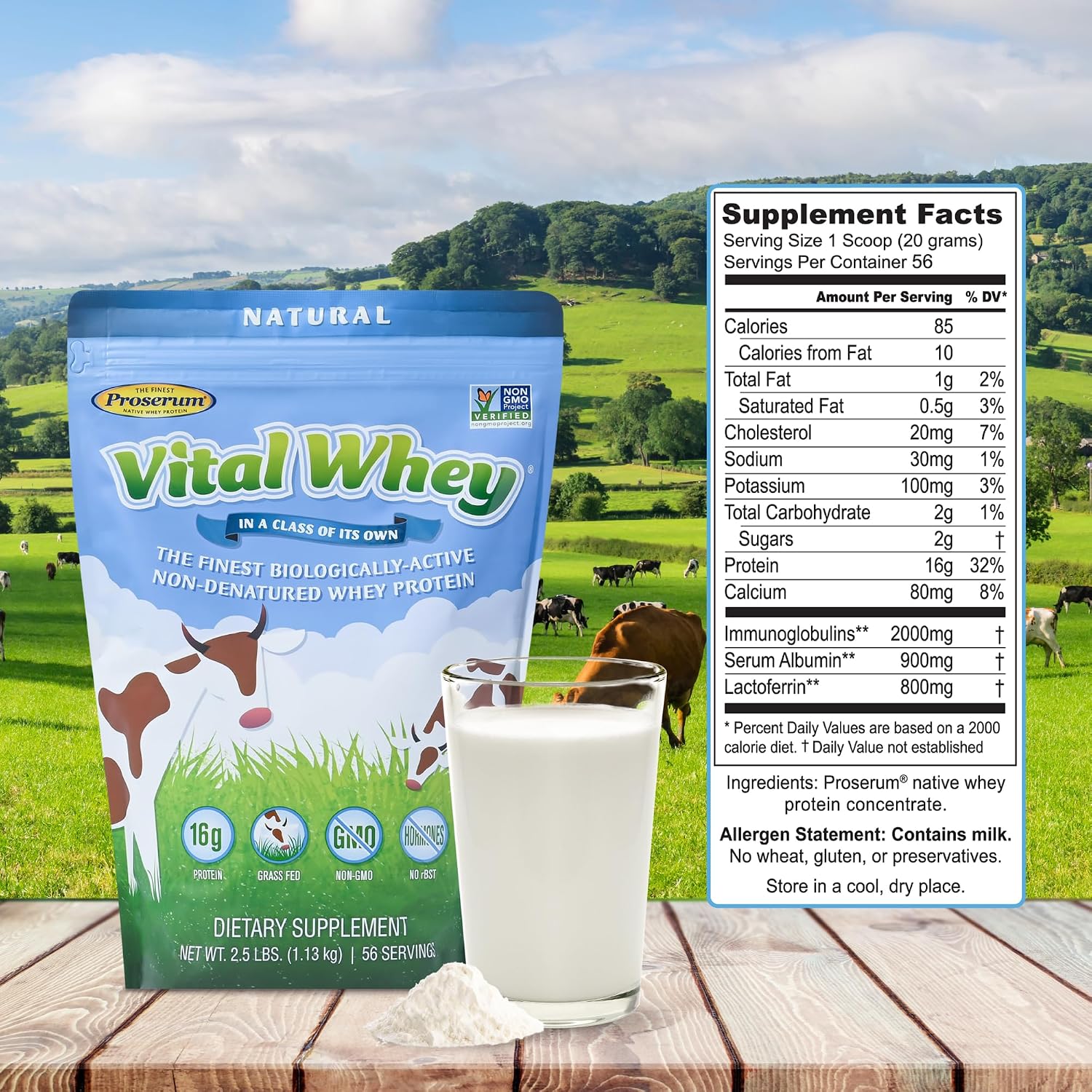 Vanilla Grass-Fed Whey Protein Powder, Immune Vitality, Recovery, 600g | 15g protein & 3.5g BCAAs per scoop | Just 5 clean ingredients | Monk fruit sweetened | Tested for heavy metals & purity