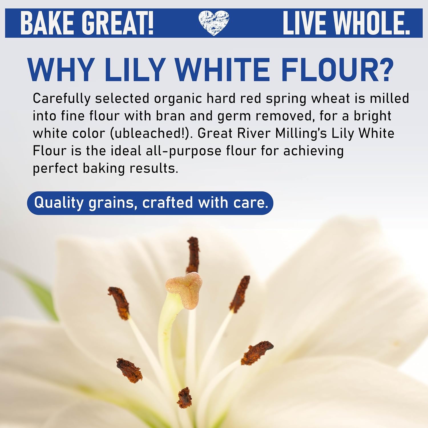 Great River Milling Organic Lily White All Purpose Flour, 25 lb | Organic Lily White All-Purpose Flour for cookies, cakes, muffins, biscuits, breads, pizza dough and pie crust; balanced