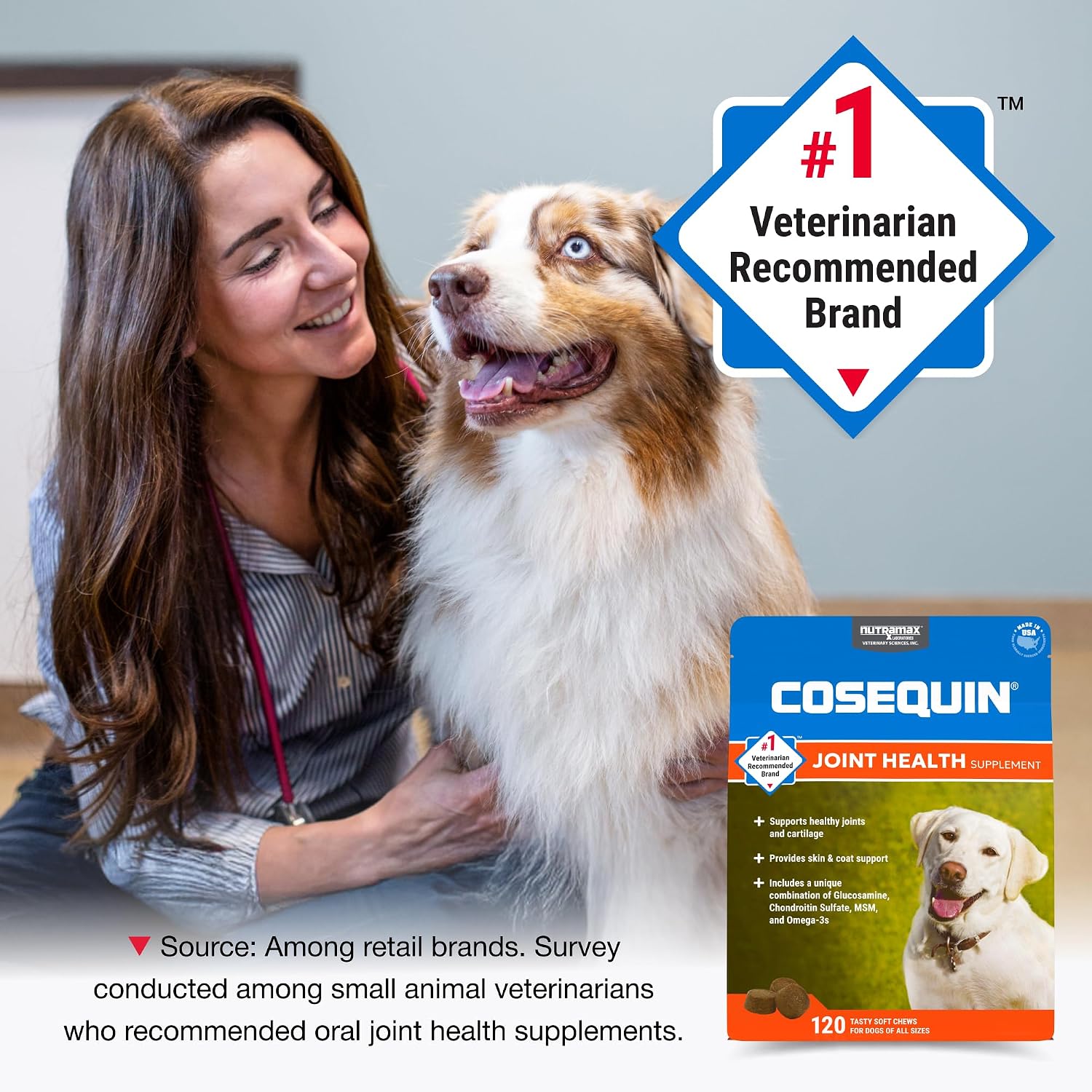 Nutramax Cosequin Joint Supplement for Dogs, Skin & Coat, Soft Chews, 120ct | Glucosamine & Chondroitin for Dogs with MSM, Omega-3s, Supports Joints