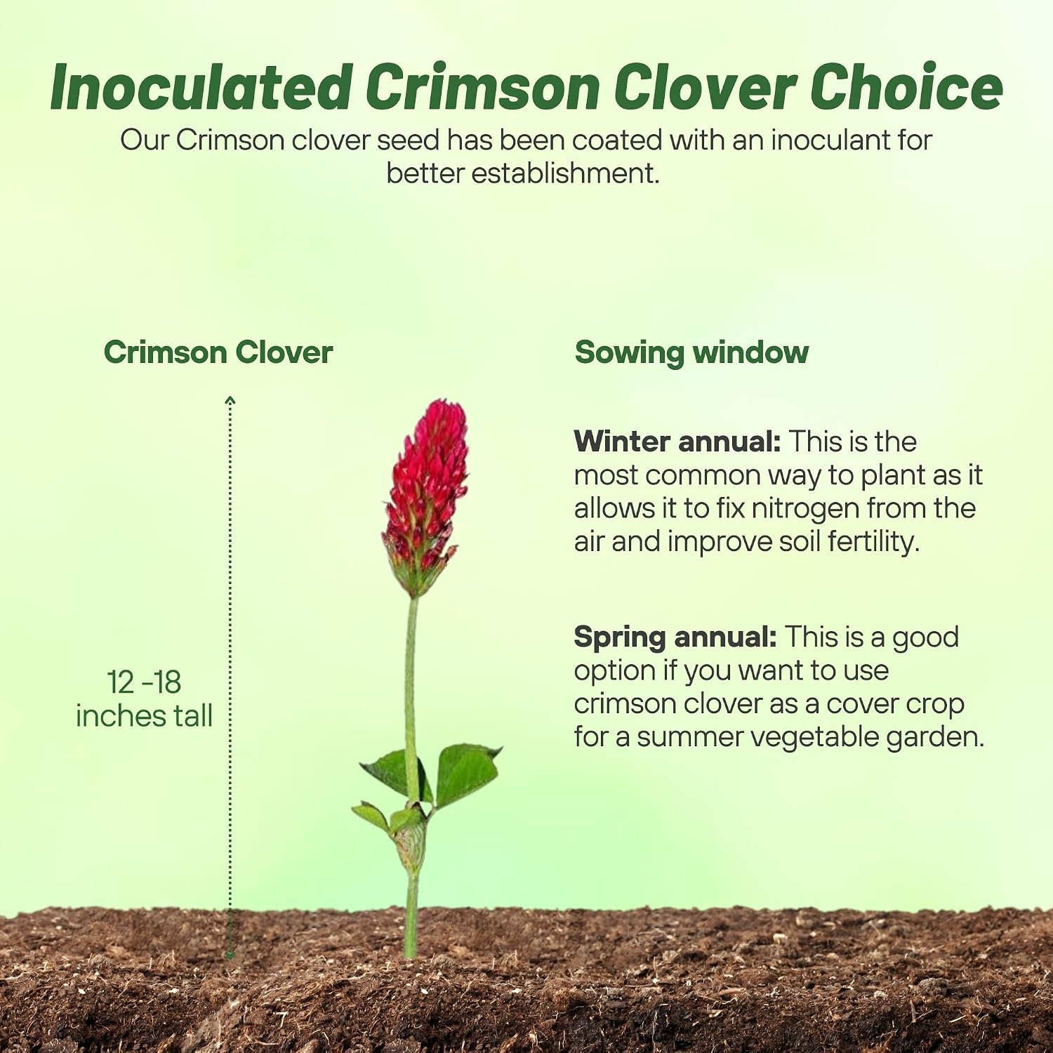 Outsidepride Crimson Clover Seeds - 10 lbs. Annual, Nitrocoated, & Inoculated Ground Cover Seeds, Ideal Clover Seed for Lawn, Cover Crop, Pasture, Hay, Green Manure & Wildlife Forage