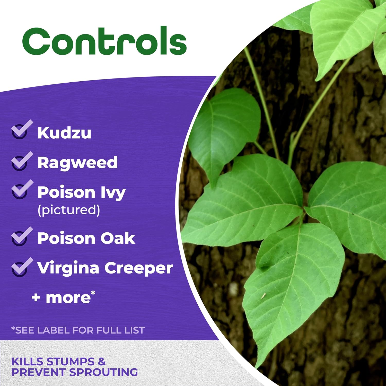 Stump-Out Stump & Vine Killer, 8 oz with Applicator | Fast Acting, Home Tree Stump Removal