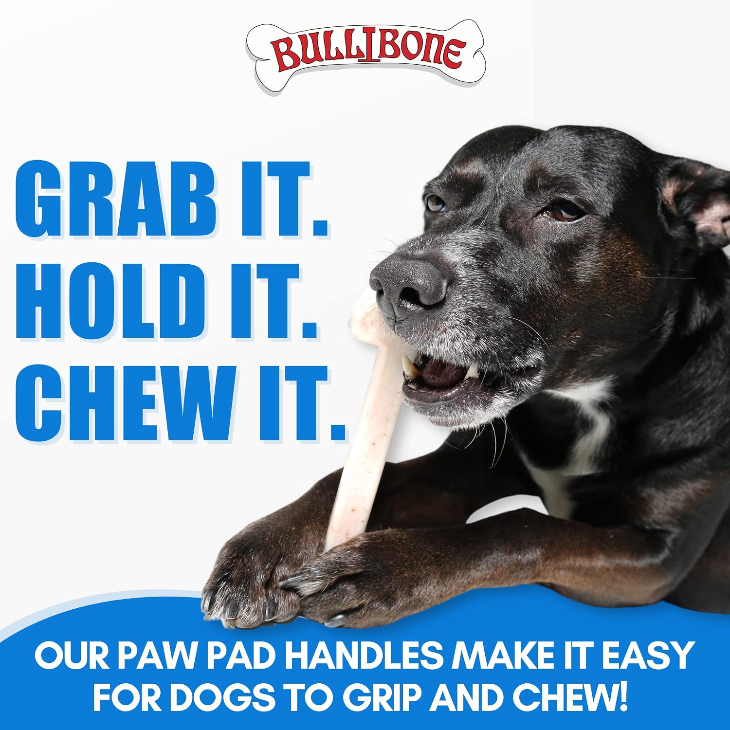 Bullibone Nylon Dog Chew Toy for Aggressive Chewers - Dental Hygiene Bone with Beef Flavor, Durable Tough Chew Toys for Small Dogs, Indestructible Dog Bone - 3 Pack