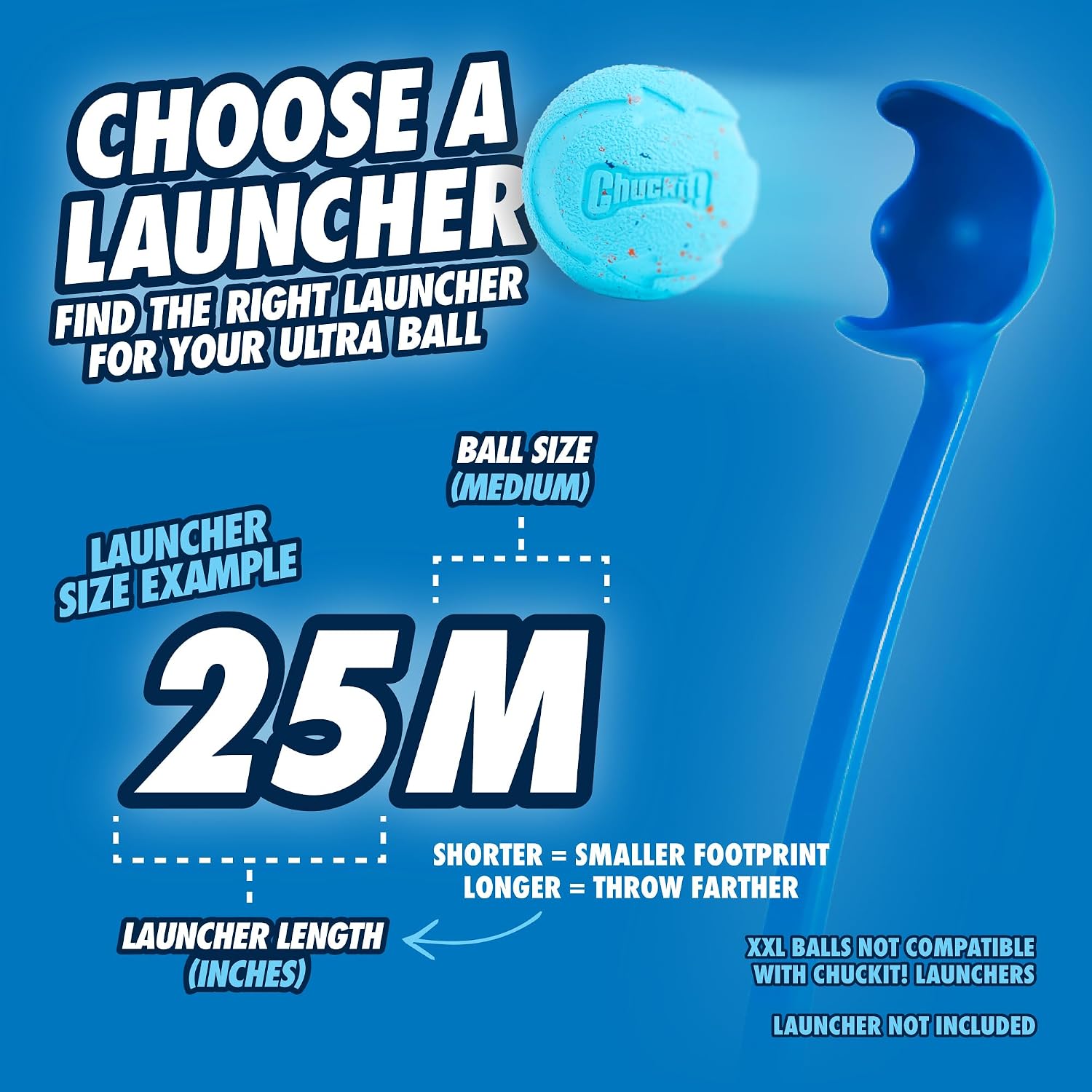 Chuckit! Rebounce Ball Dog Toy, Medium 2.5 Inch, for Dogs 20-60 lbs, Blue | Bouncy rubber build, unpredictable bounce pattern, durable outdoor construction, pack of 2 balls, great for playtime today