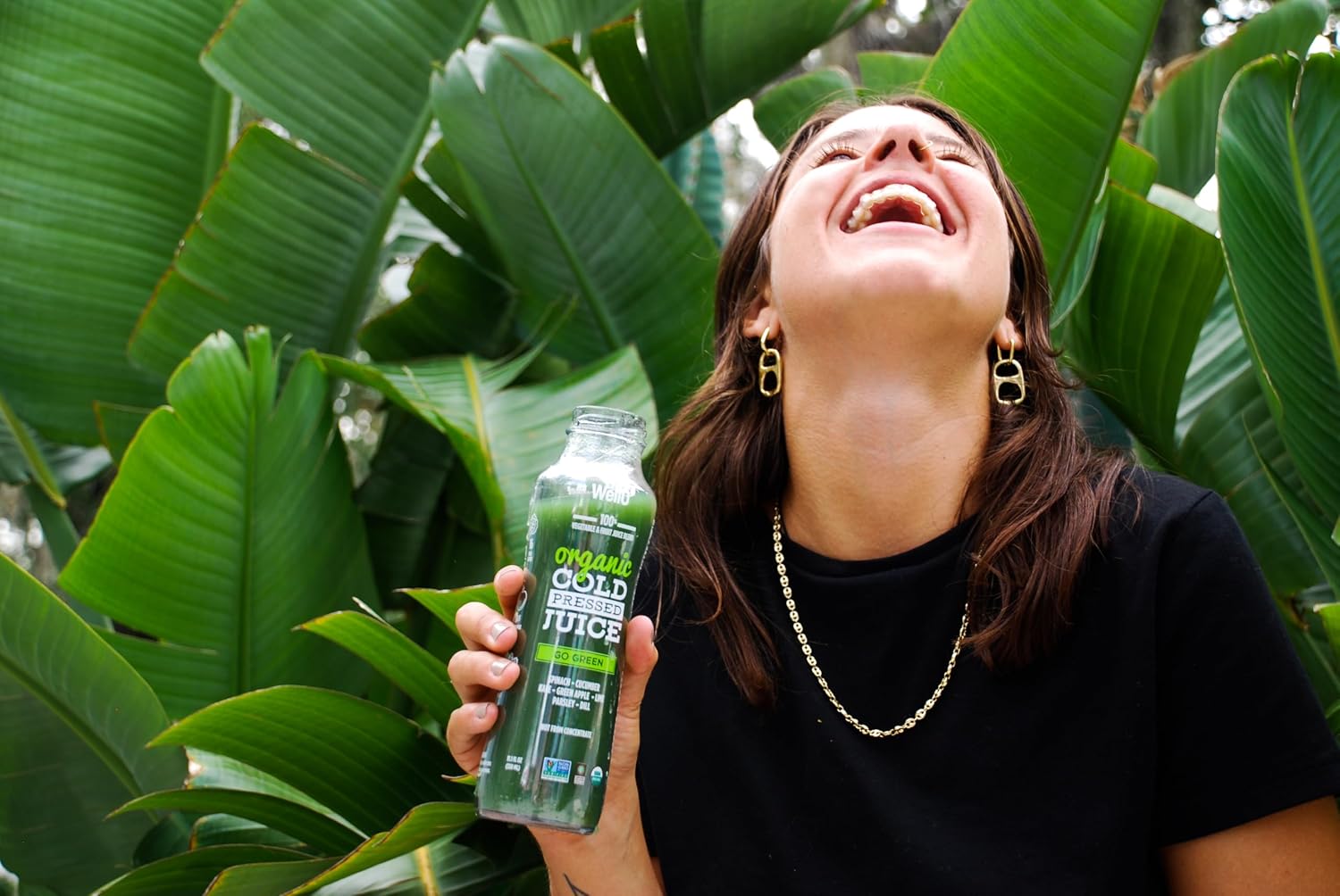 Organic Juice Variety Pack, Cold-Pressed, Non-GMO, 6 Pack
