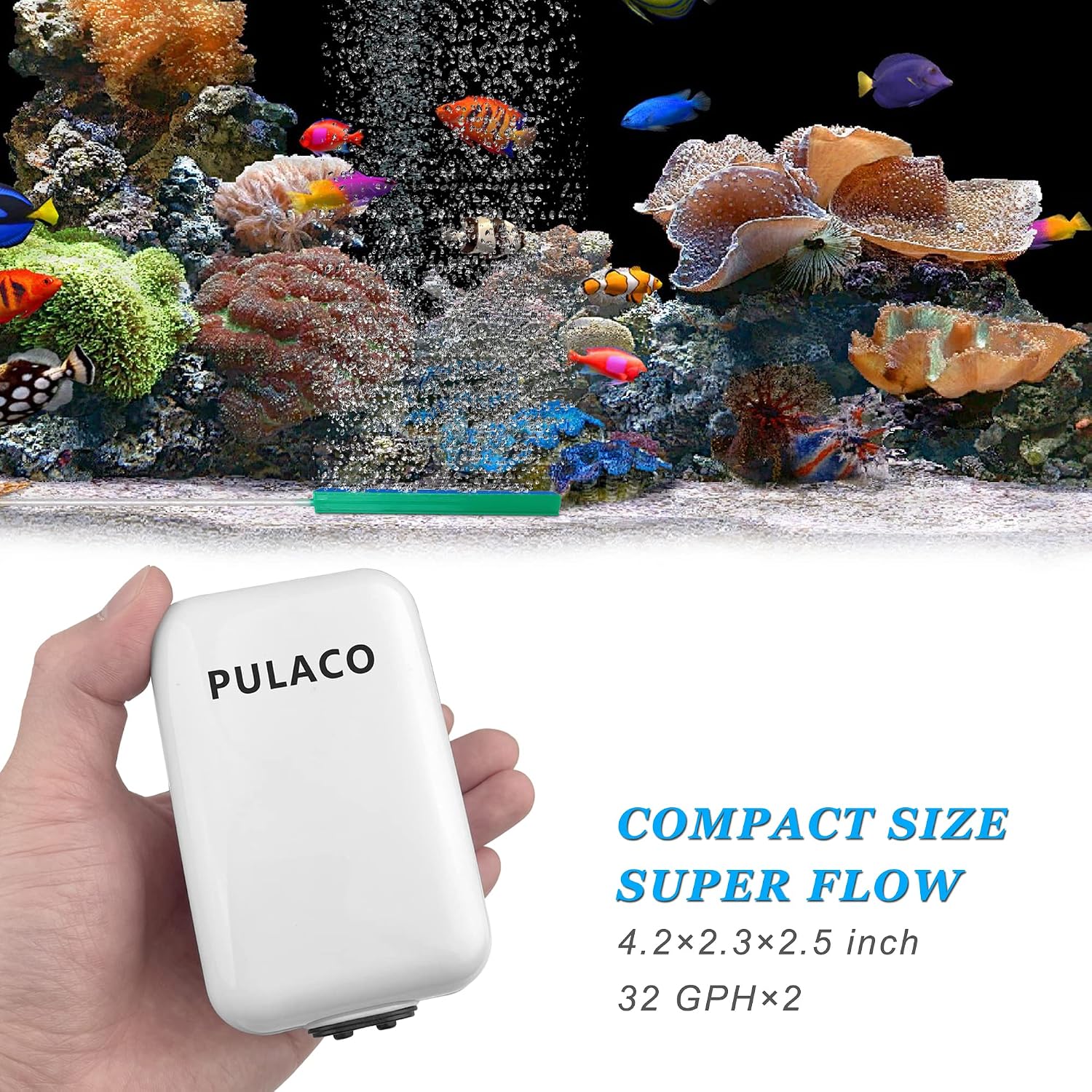 PULACO Dual Outlet Aquarium Air Pump, Quiet Oxygen Pump with Accessories for 10 to 100 Gallon