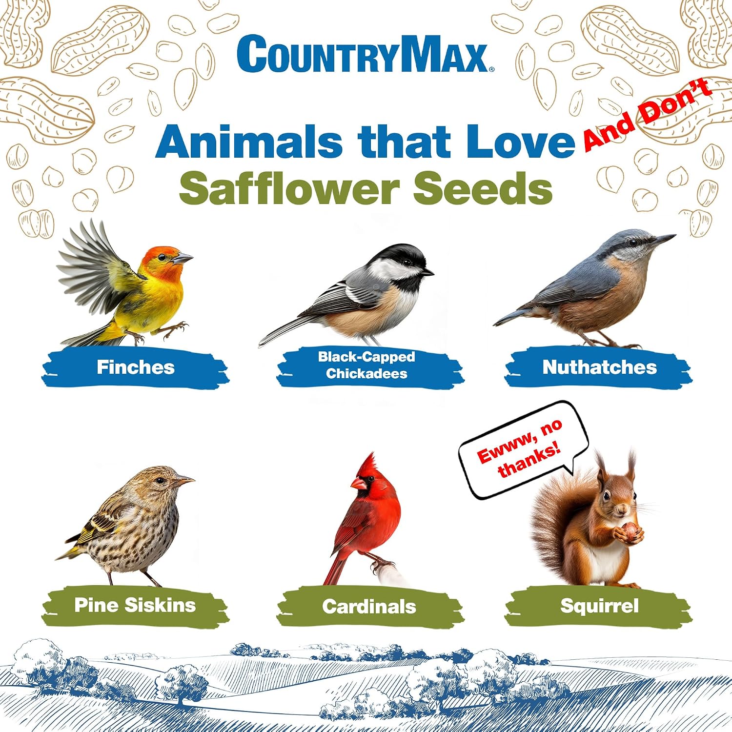 CountryMax Shelled Sunflower Chips 10 lb - No Waste Bird Seed for Outside Feeders, Resealable Bag of Wild Bird Feed | For Smaller Beaks, No Mess, No Waste. High Energy & USA Sourced. For Ground Feeding or Bird Feeders, For Year-Round Feeding