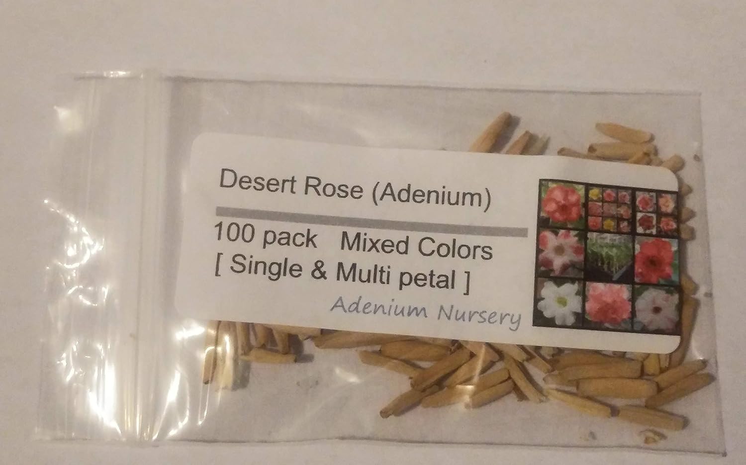 Desert Rose Seeds Mixed Colors Adenium Obesum 100 Pack Single and Multi Colored Flowers