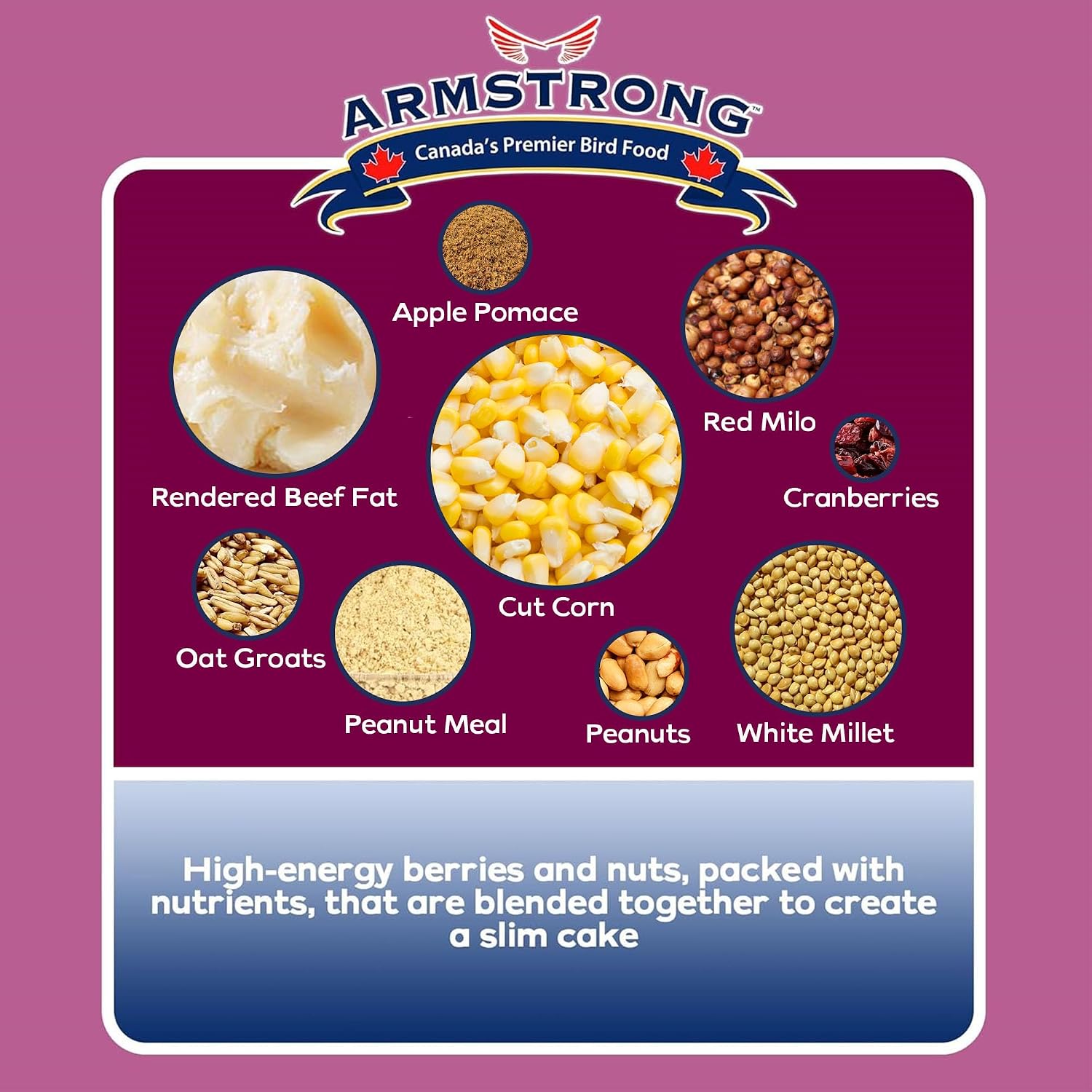 Armstrong Wild Bird Food Berry N' Nut Suet Cake, 11.3 Ounces (Pack of 3) - with Cut Corn, Rendered Beef Fat, White Millet