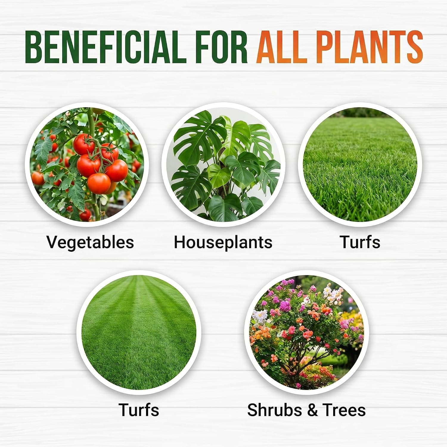 GS Plant Foods Turbo Bio-Blend Organic Soil Amendment Premium Brown 3 lbs
