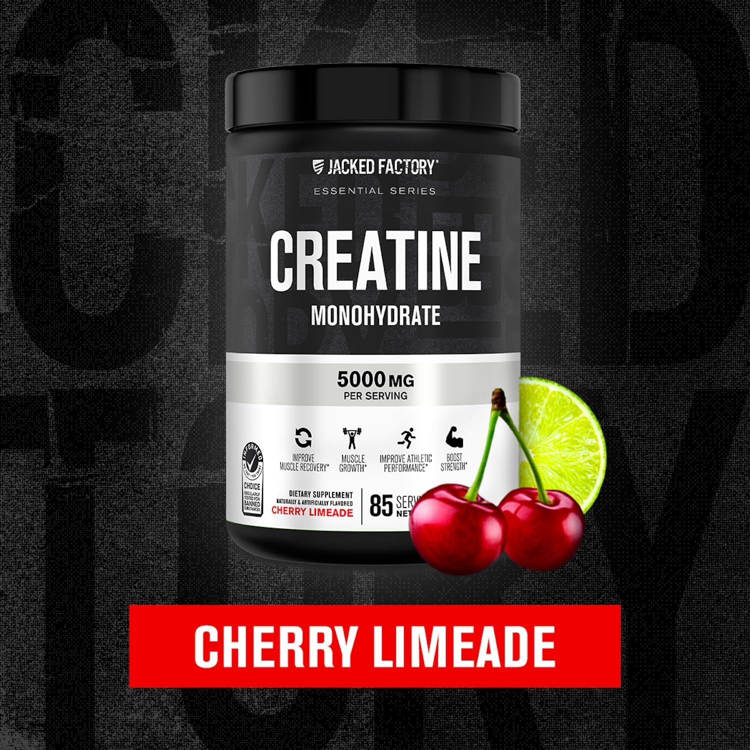 Jacked Factory Creatine Monohydrate Powder 425g - 5g Daily Micronized Creatine Monohydrate for Men and Women, Vegan-Friendly