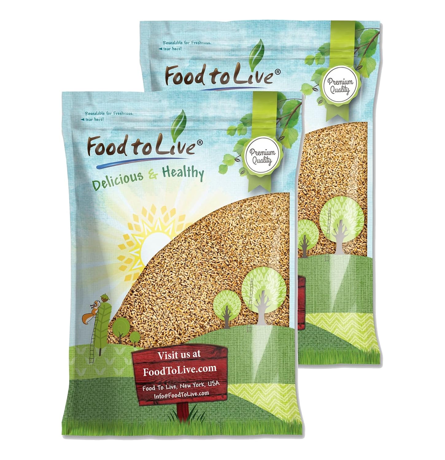 Food to Live Hard Red Wheat Berries, 3 Pounds – Sprouting for Wheatgrass, Kosher, Raw, Vegan, Bulk