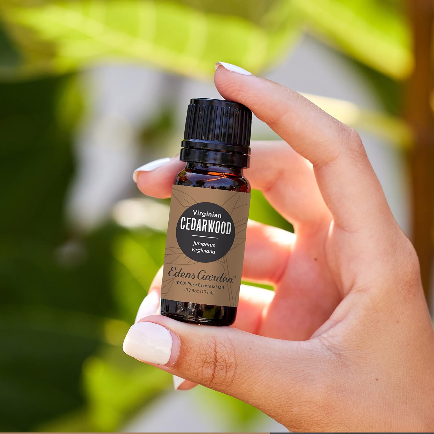 Edens Garden Cedarwood-Texas Essential Oil- 100% Pure 10 ml (.33 fl oz)
