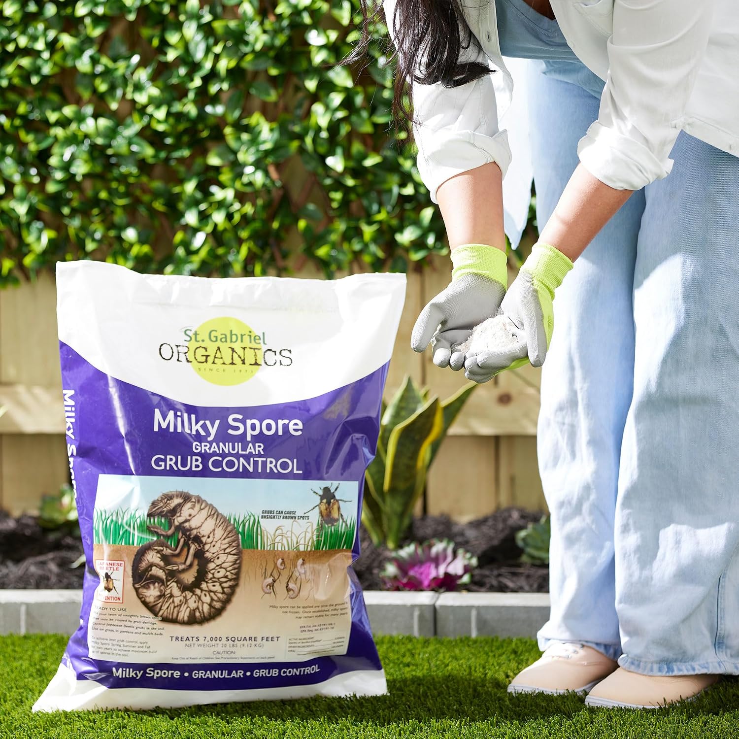 ST. Gabriel Organics - Milky Spore Granular Natural Bacteria Japanese Beetle Grub Killer Lawn and Garden Care Control, 20 Pound Pack