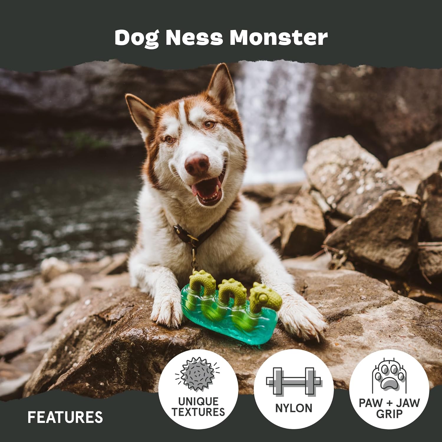 BarkBox Turkey Super Chewer - Toy for Large Dogs