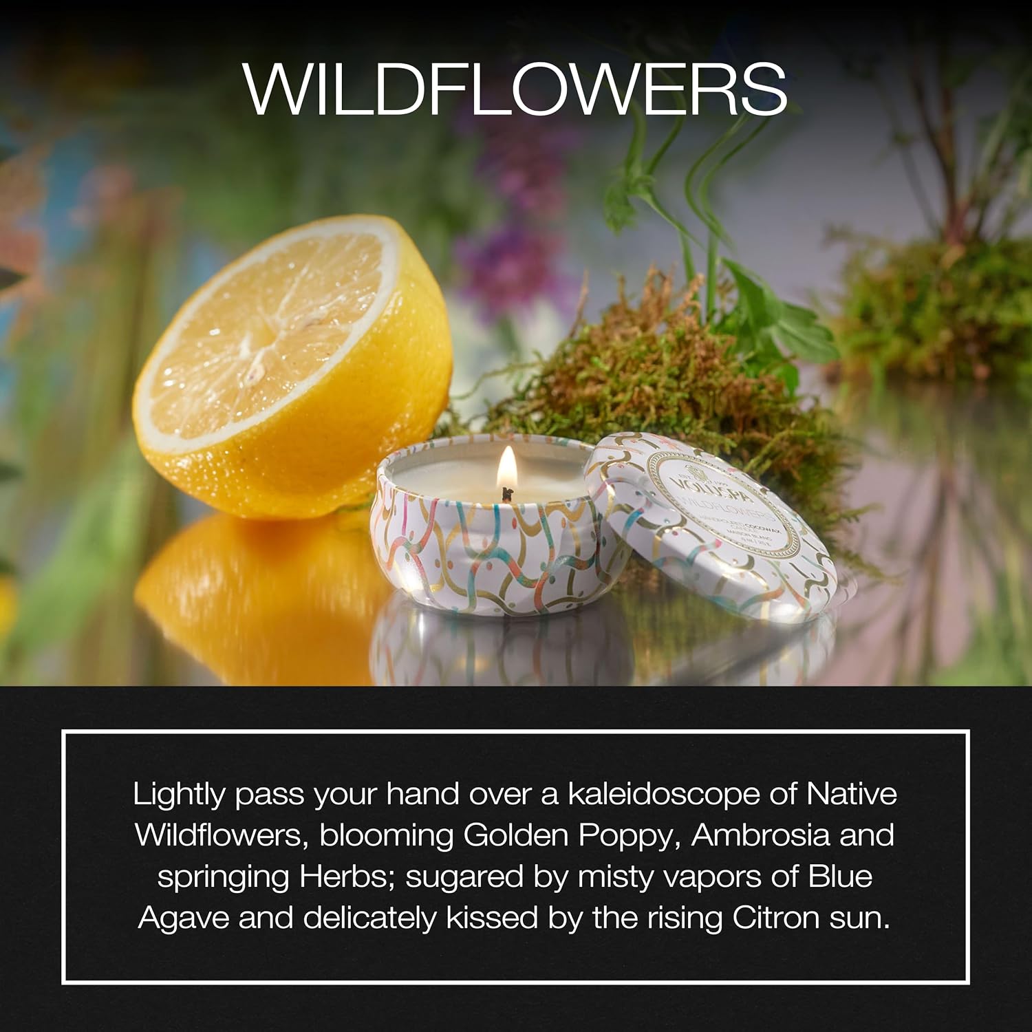 Voluspa Baltic Amber Candle | Mini Tin | 4 Oz. | 25 Hour Burn Time | Coconut Wax for a Cleaner Burn